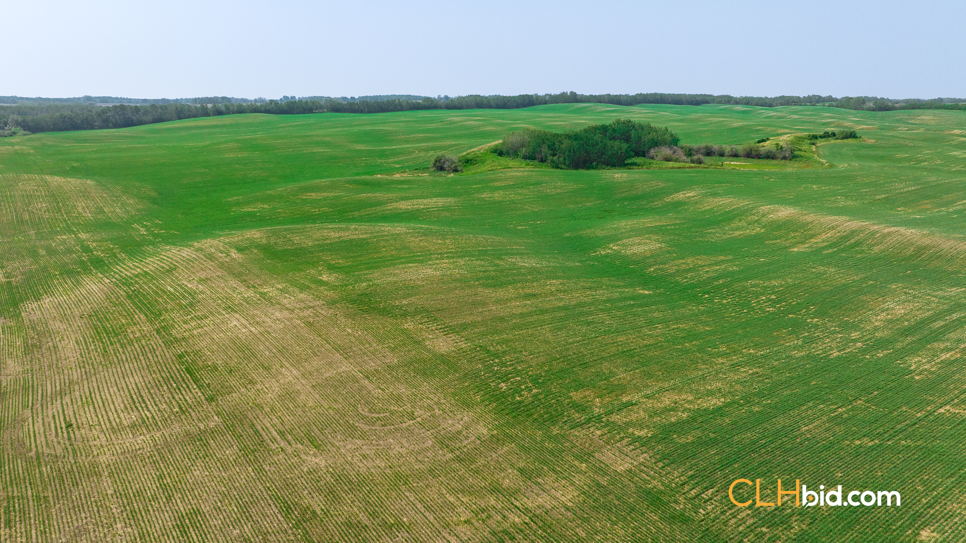 Web-Innisfree8Summer-48