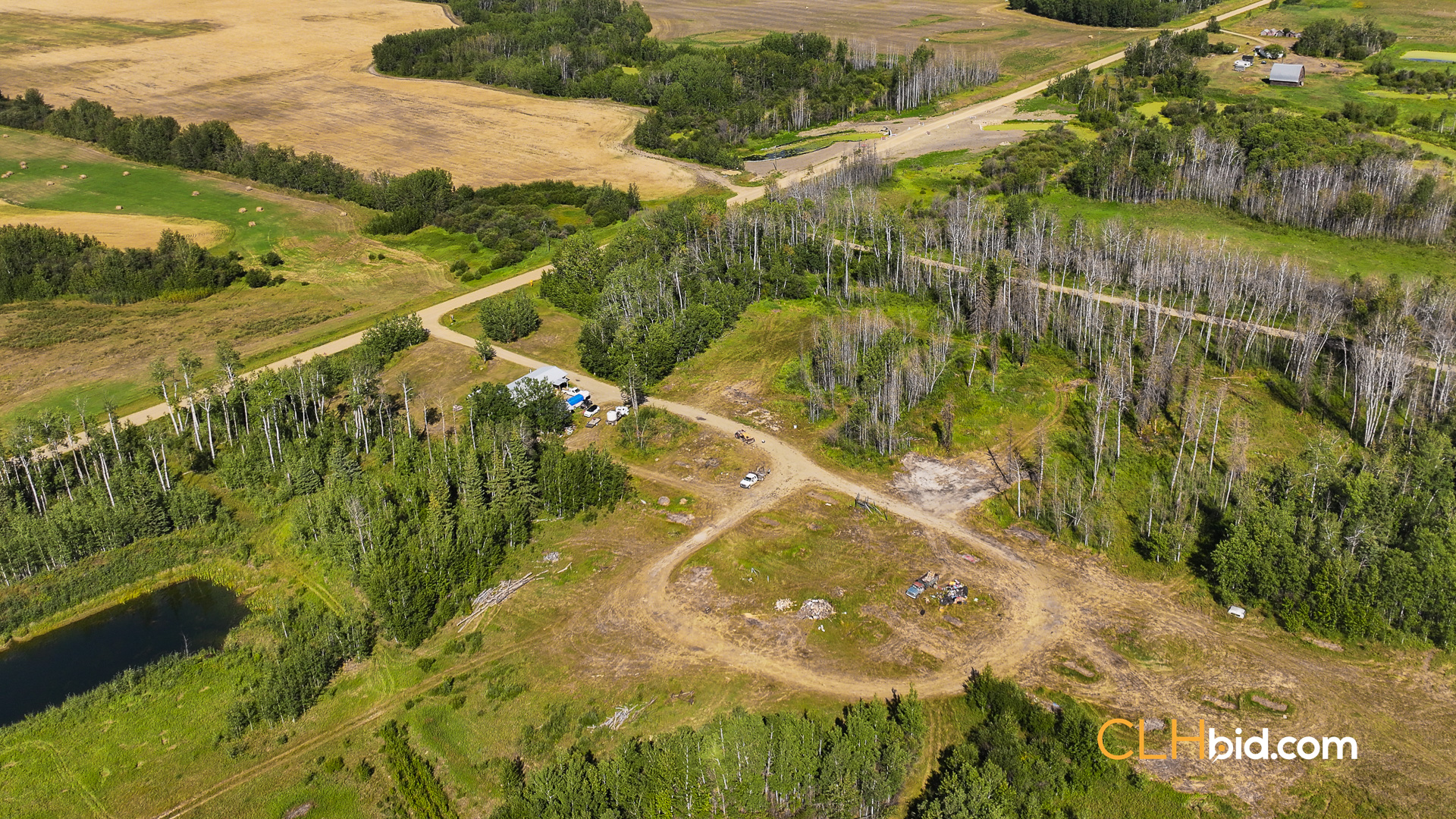 Web Talking Trees 15