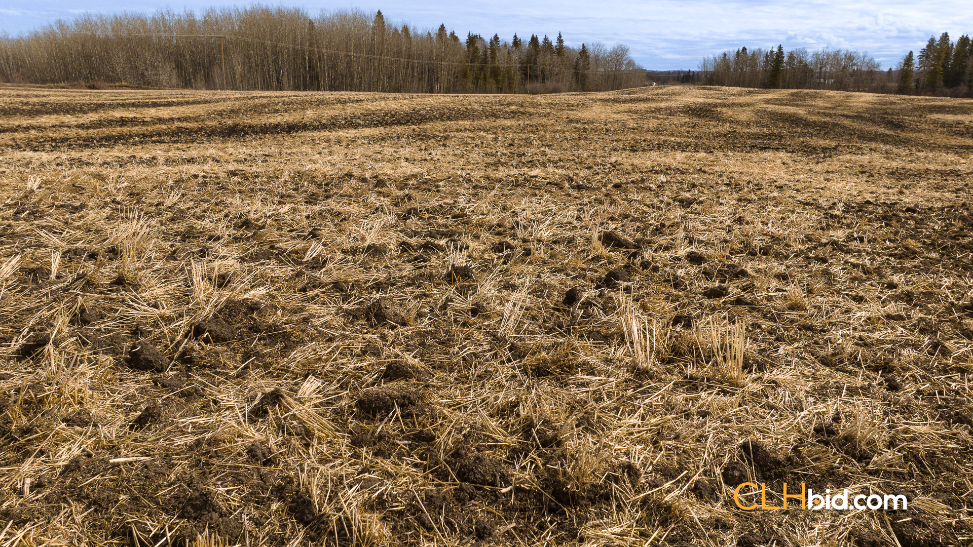 Web-BentleyRoyalty-10