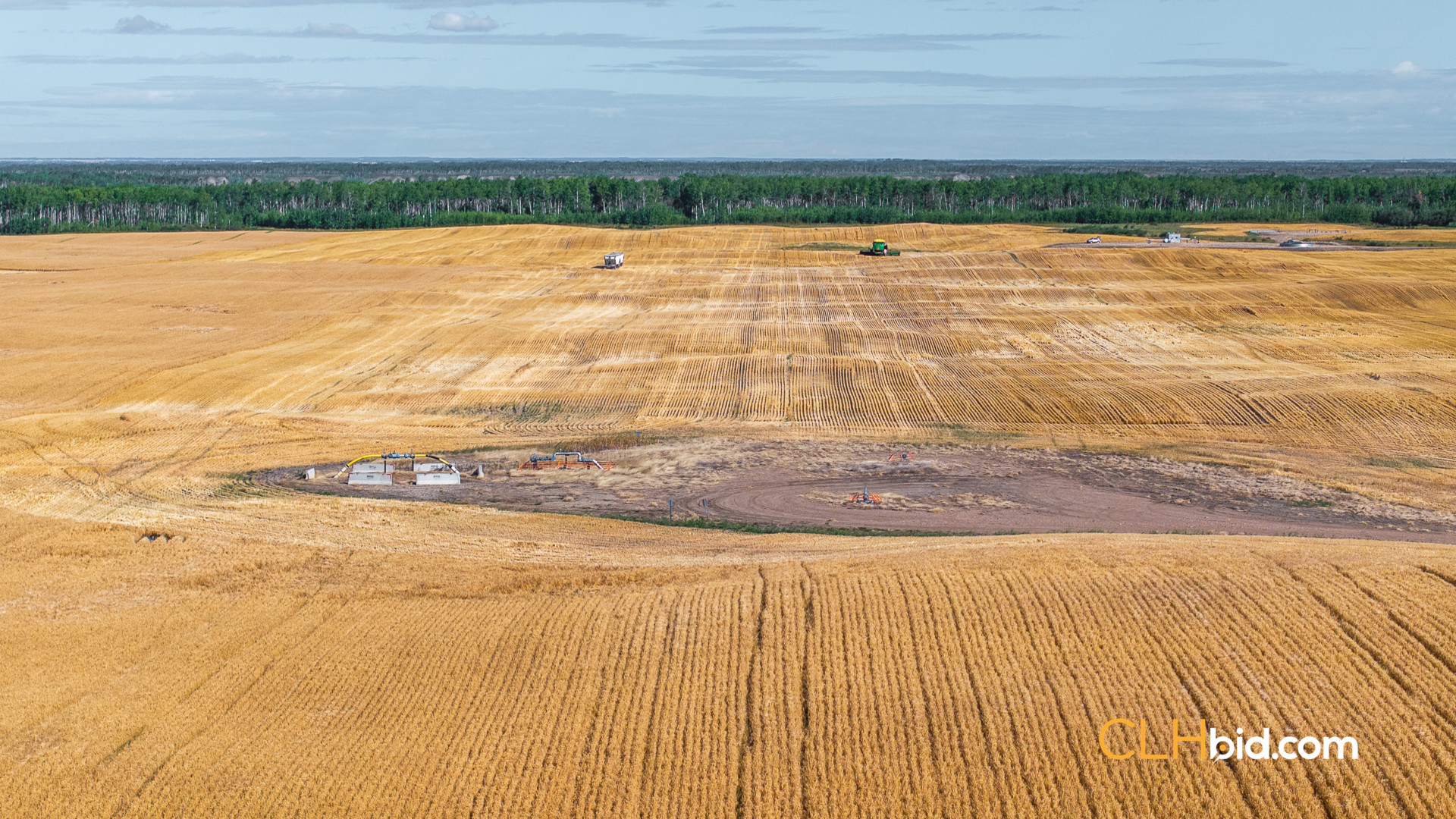 Web Veteran Legacy-24