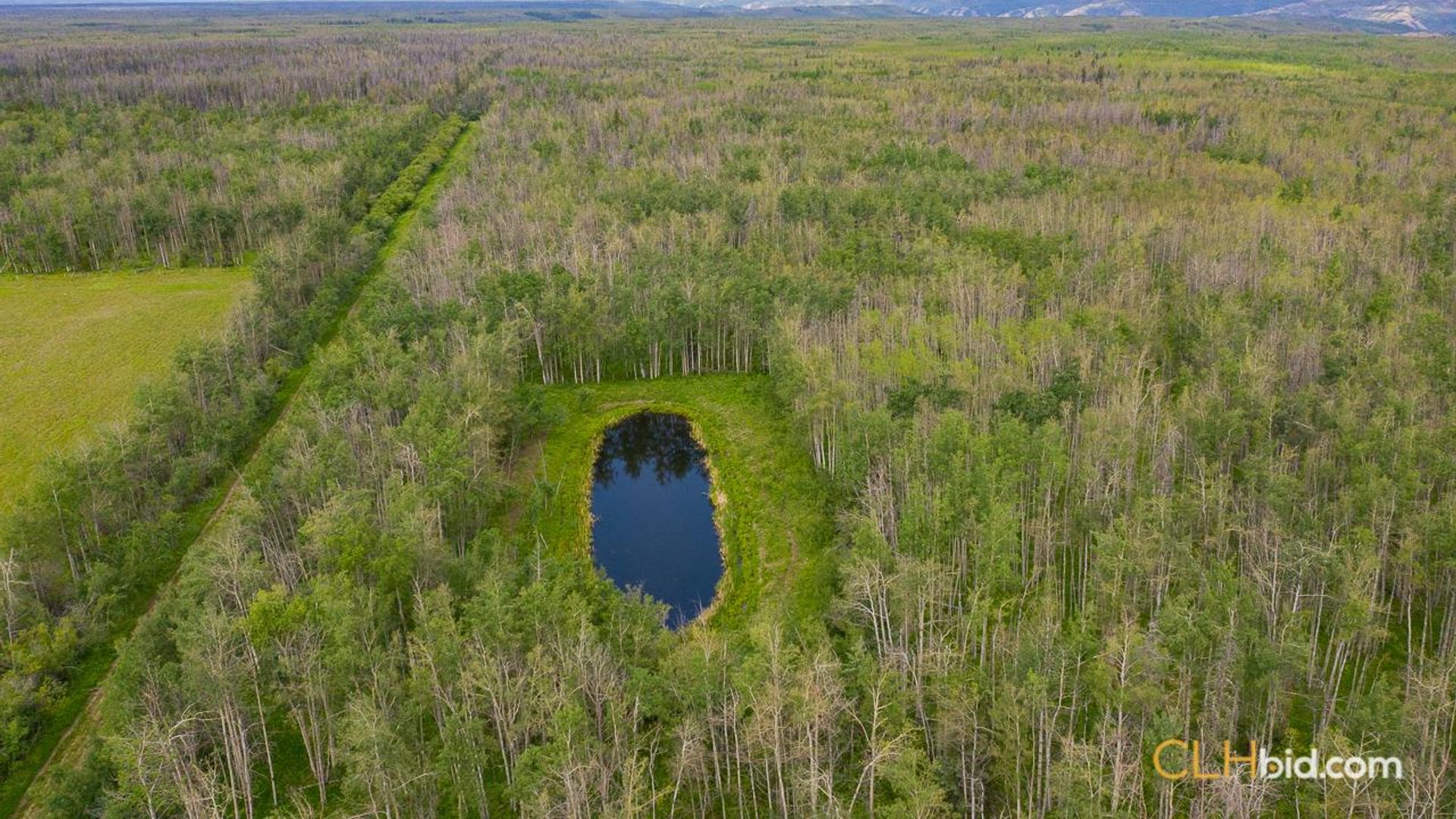 silvervalleydiamondintherough-6-4