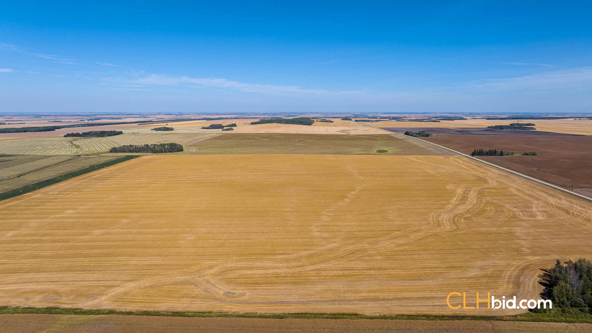 Web-Tisdale-Titan-18