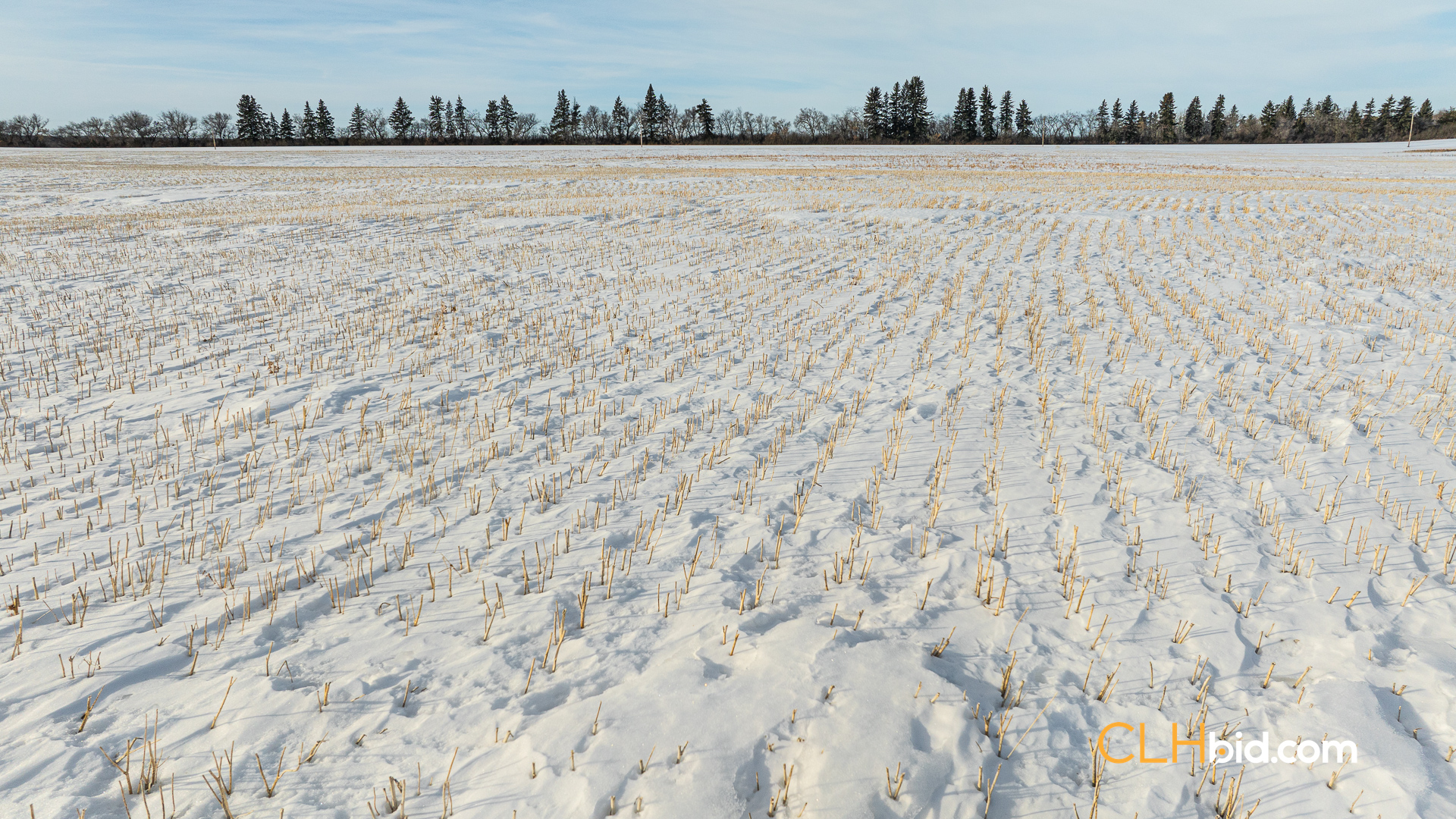 Web-TripleHorsepower-27