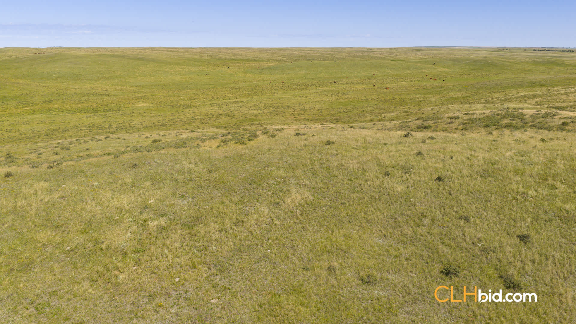 Web-PrimeTime-13