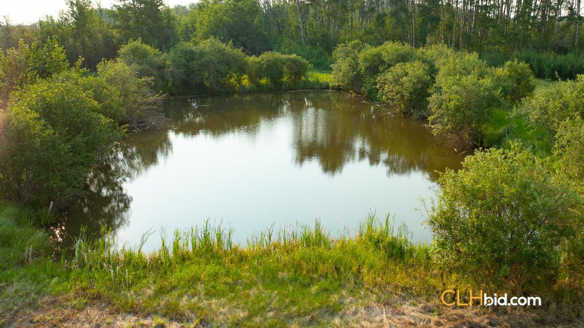 directlinelassiterroad-1-5