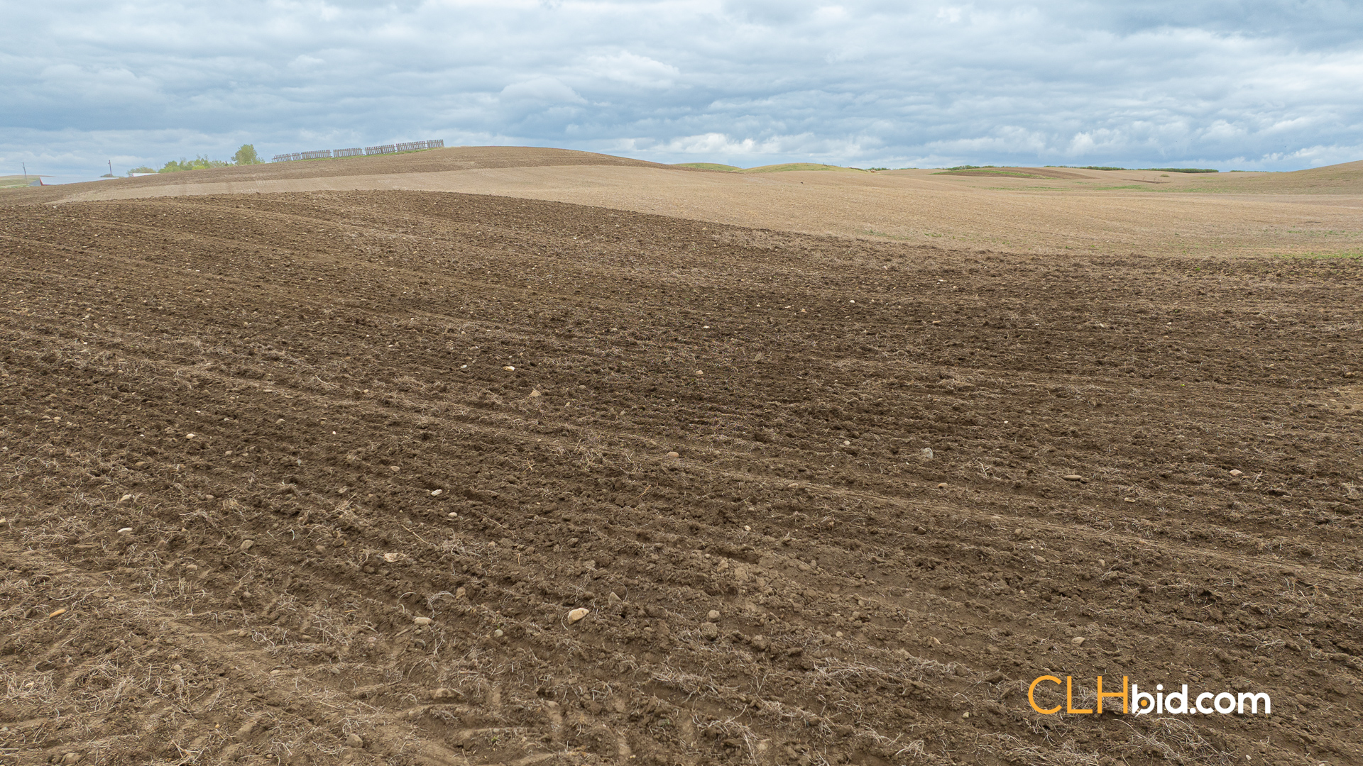 Web-LegacyMoveNEW-79