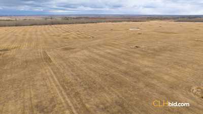 Rancher's Choice