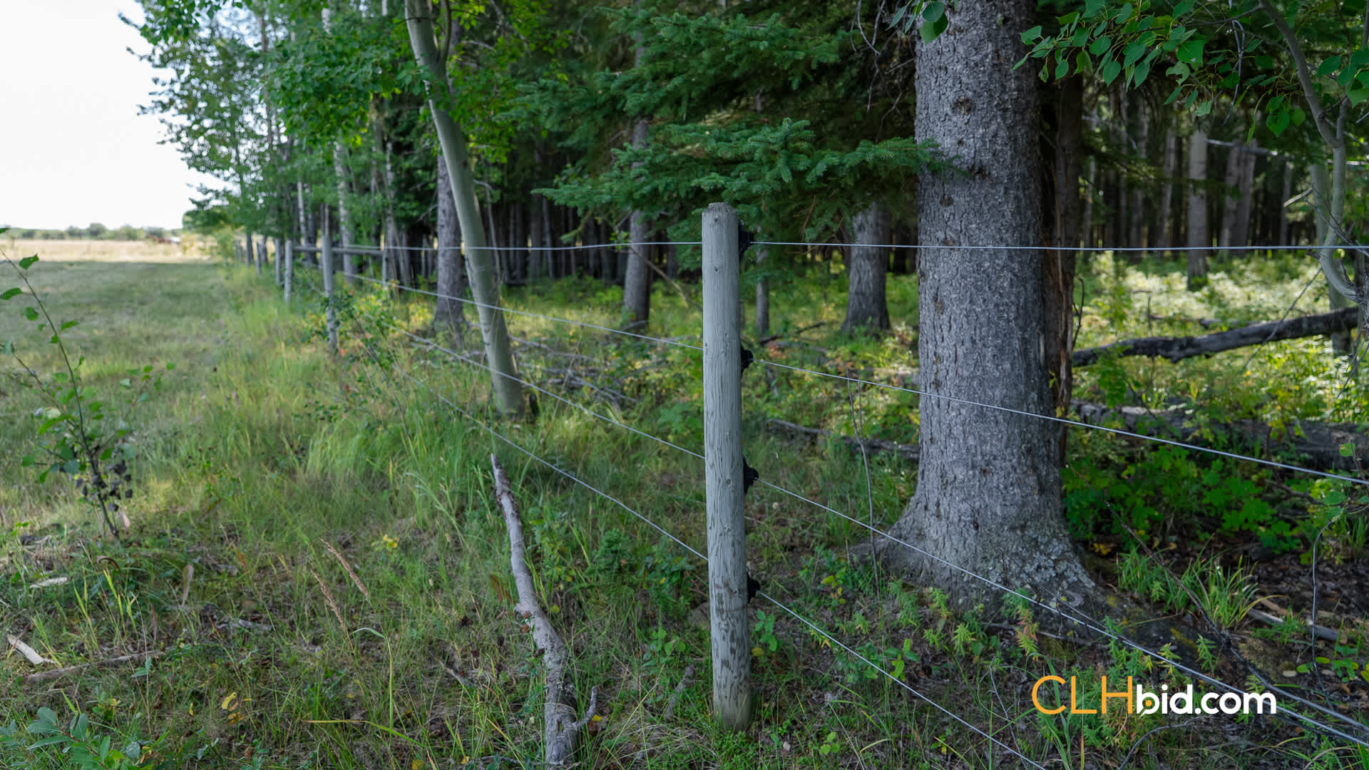 Web Peace Country Rancher-1