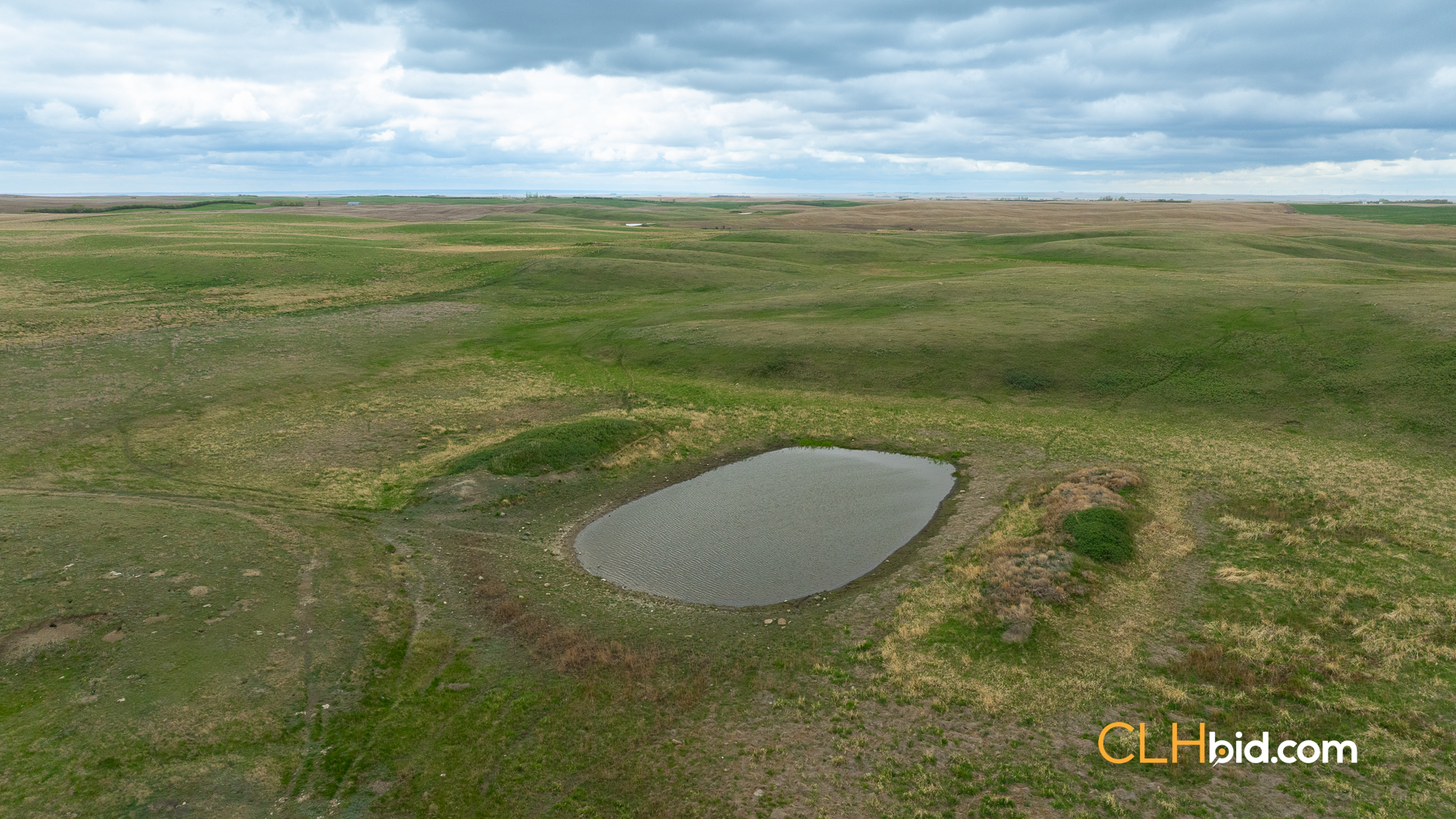 Web-LegacyMoveNEW-44