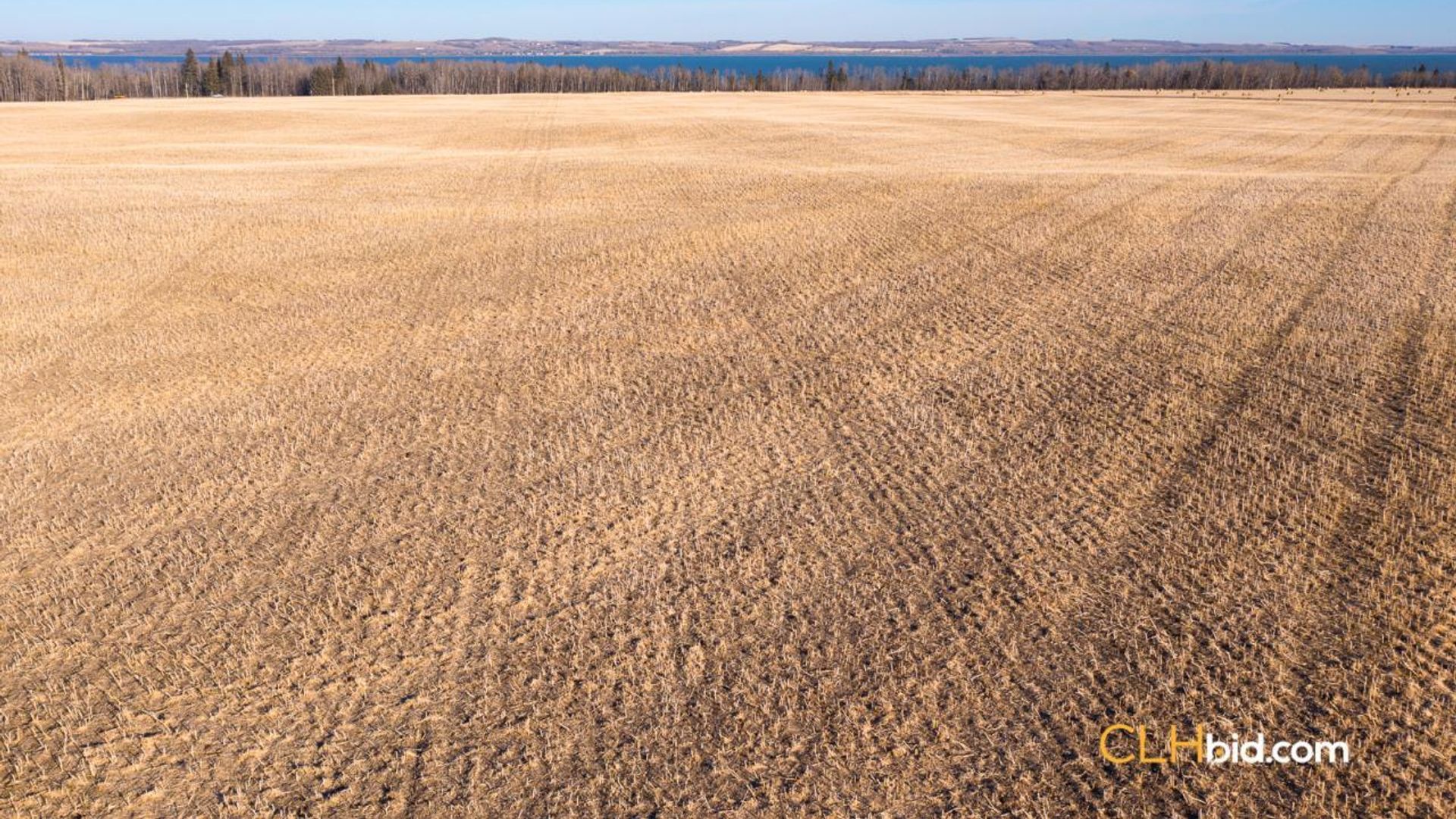 bentleycontinentalv8-6-3