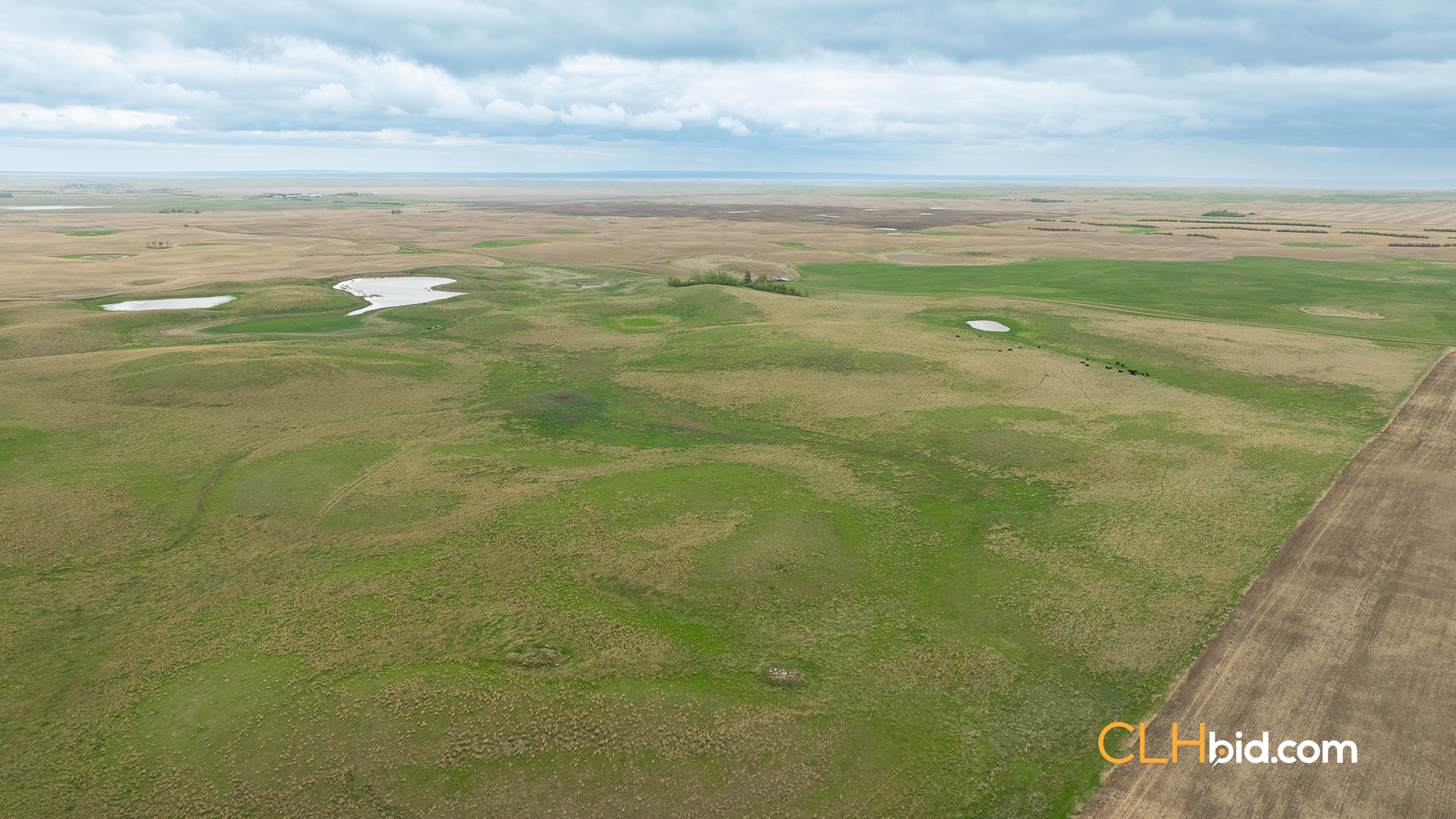 Web-LegacyMoveNEW-48