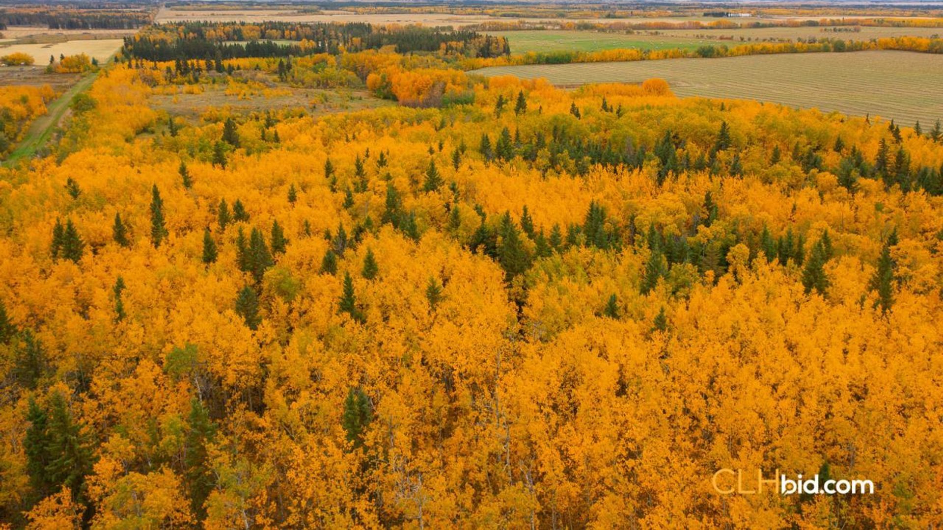 thevilnaheritagefarm-1-8