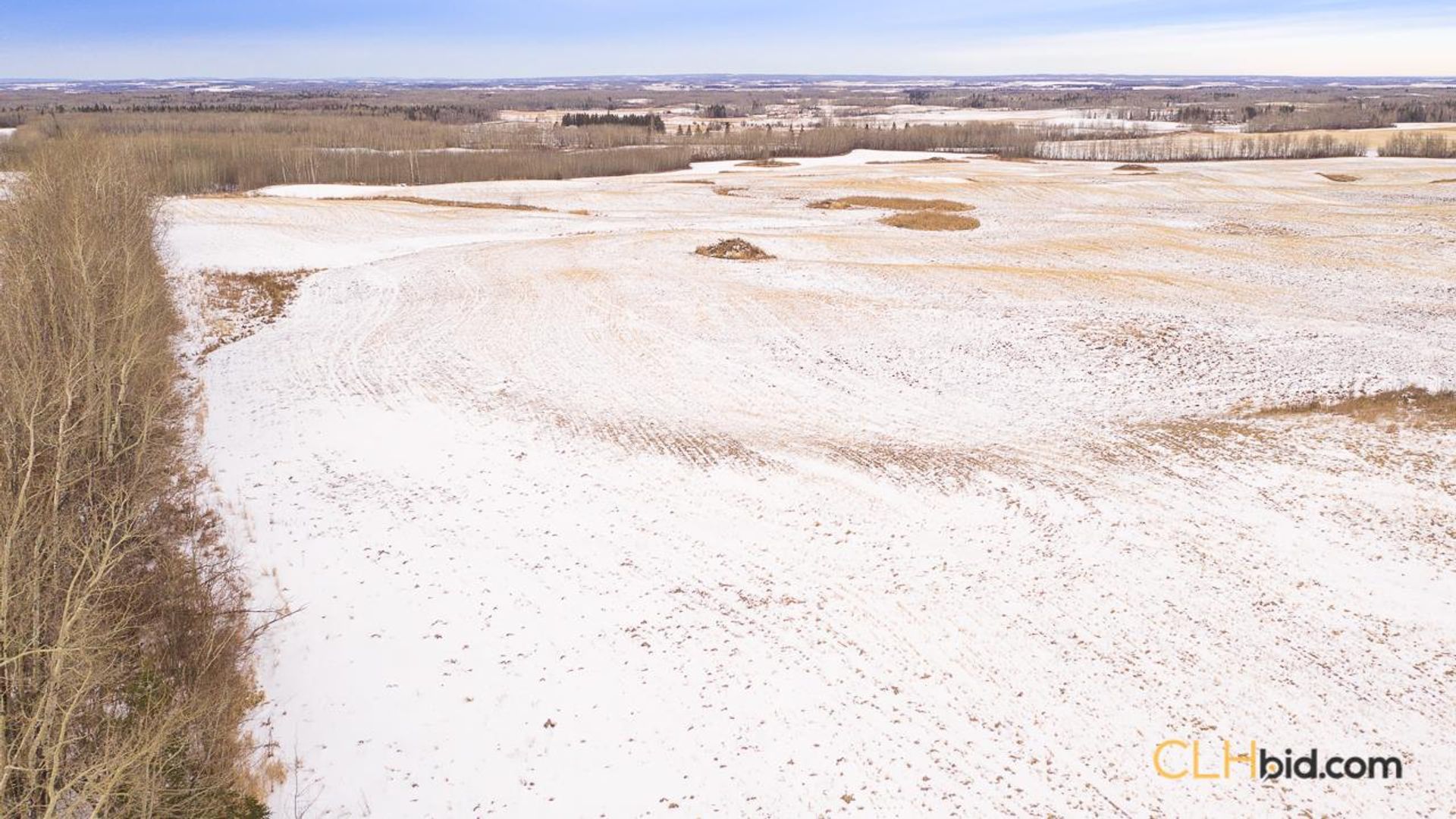 barrheadbigoptions-1-9