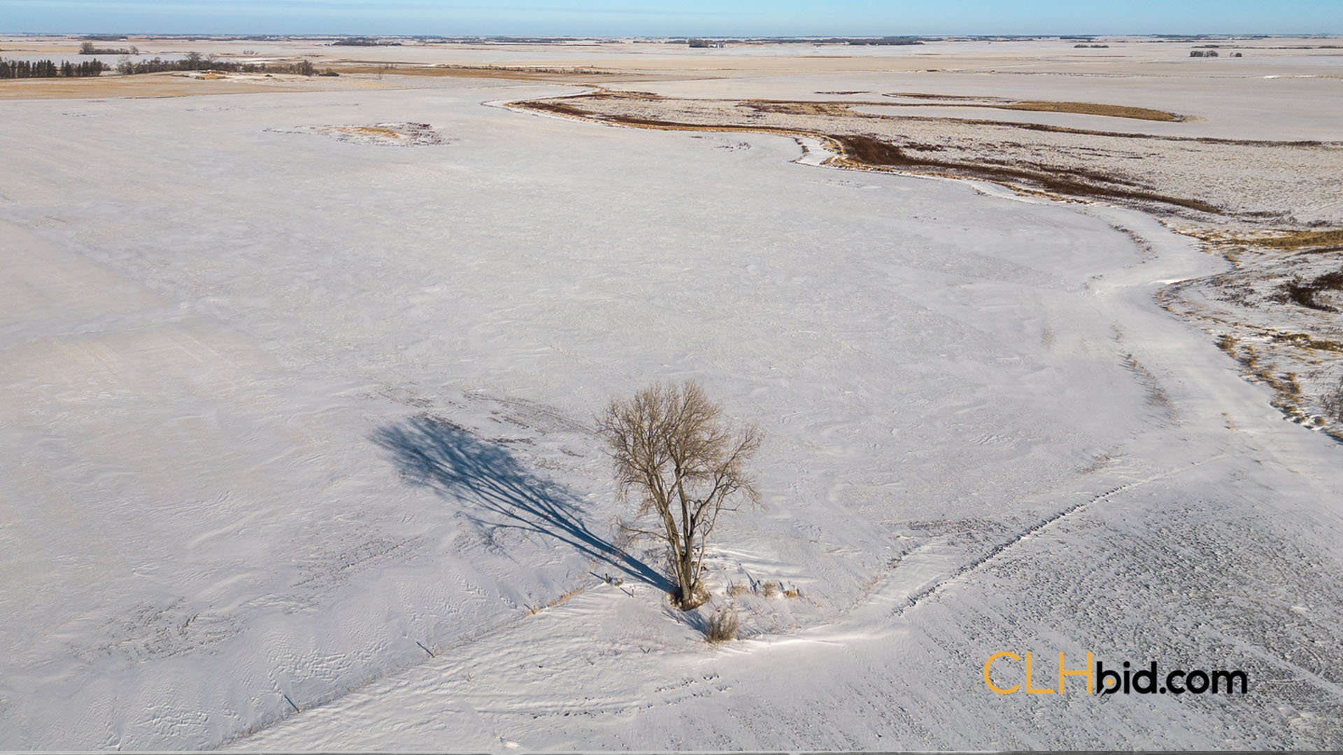 Cartwright Four Contentful 3