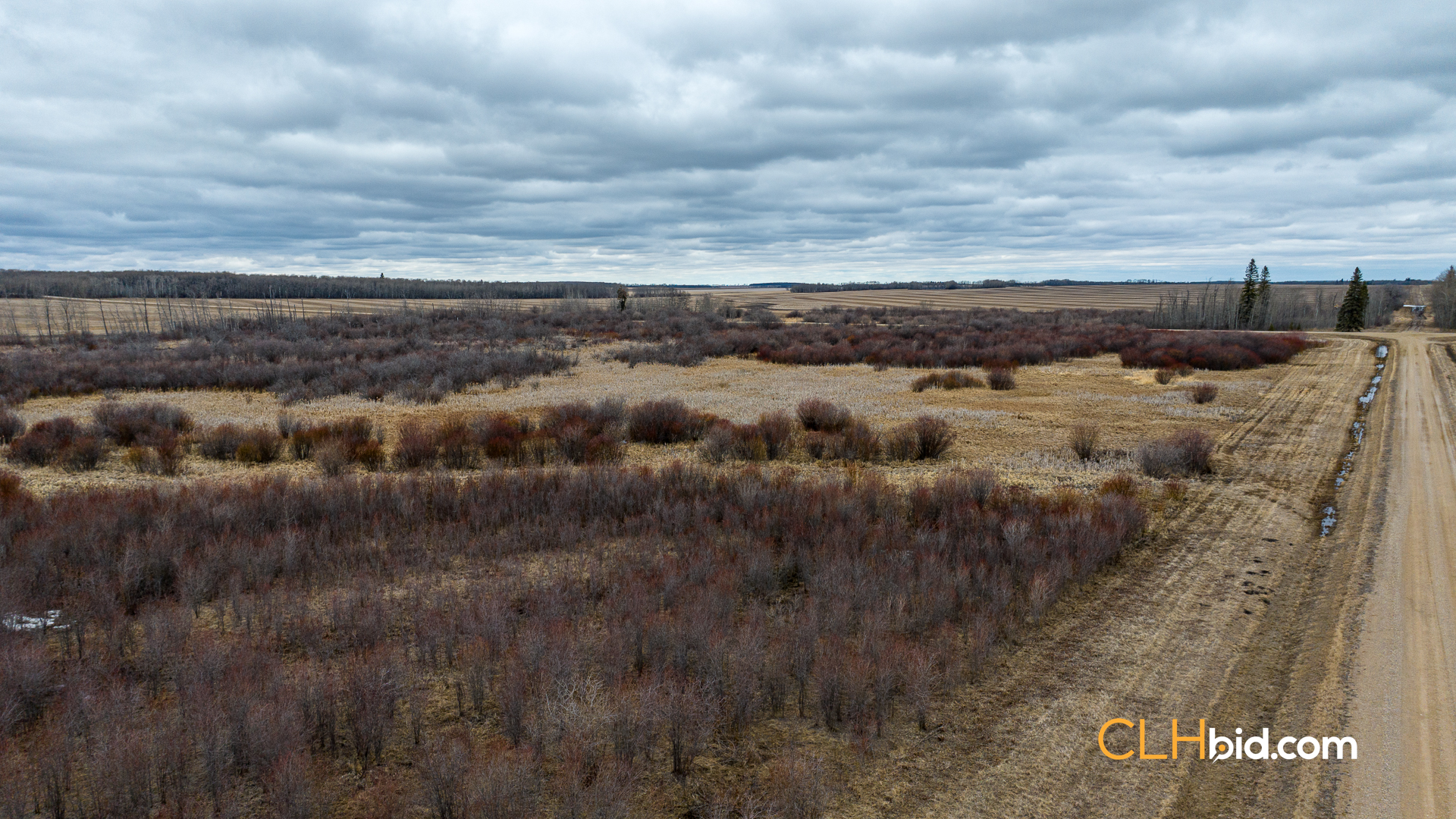 Web-Star-City-Rockstar-23