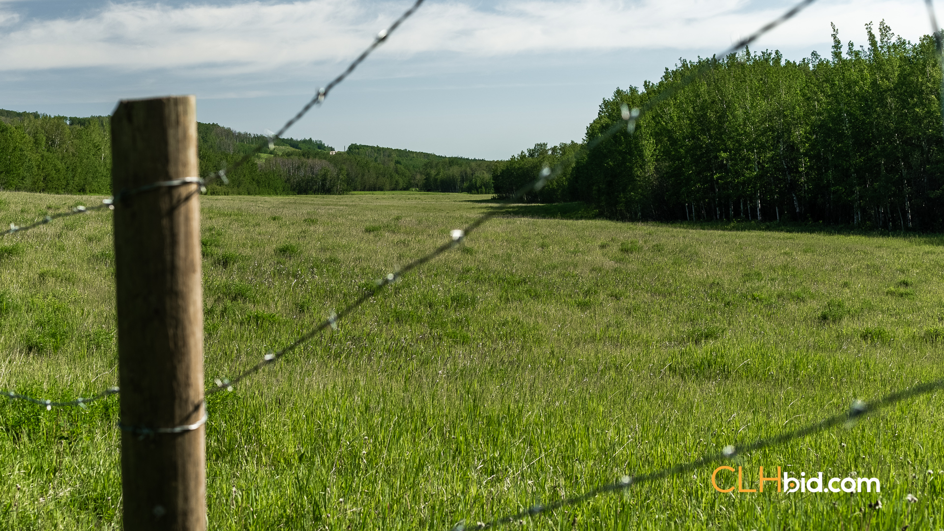 Web The Wild at Braden Rd-14