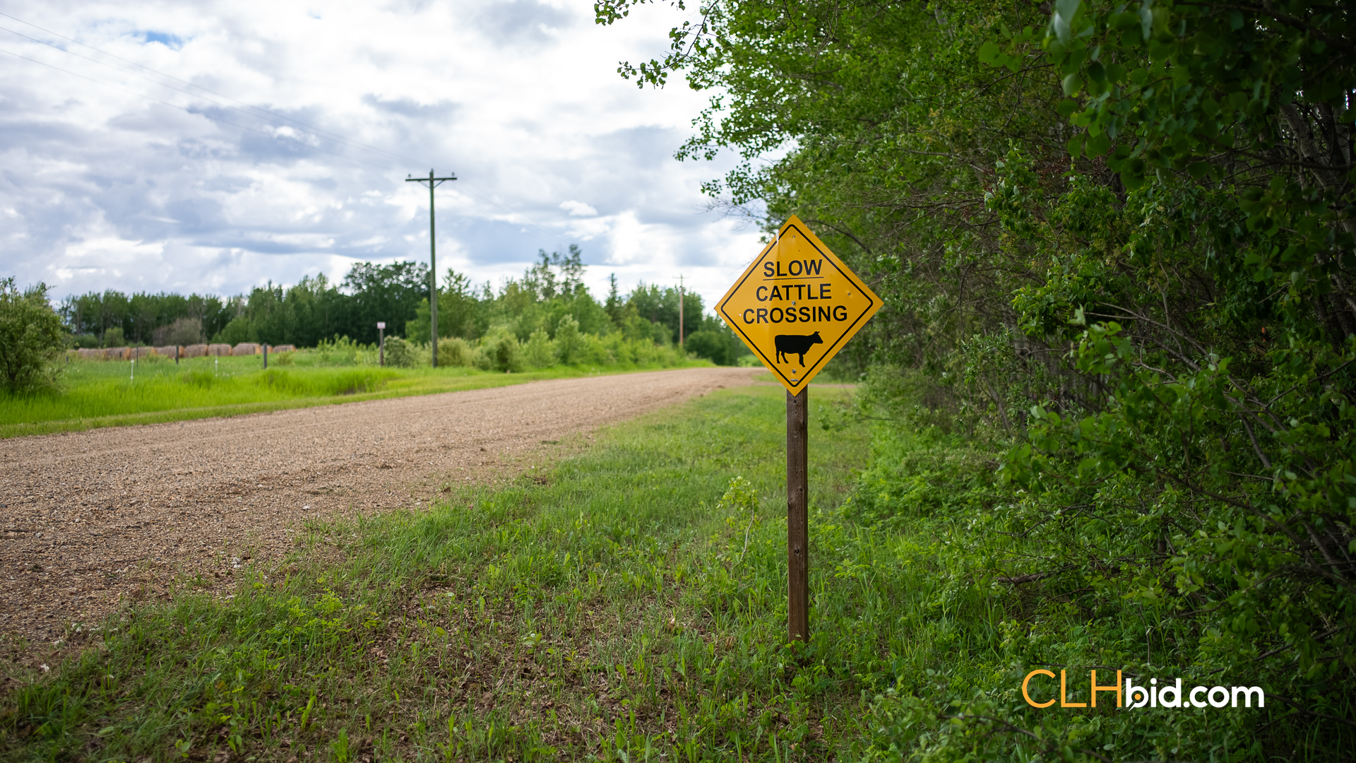 Web The Cattle Crossing-51