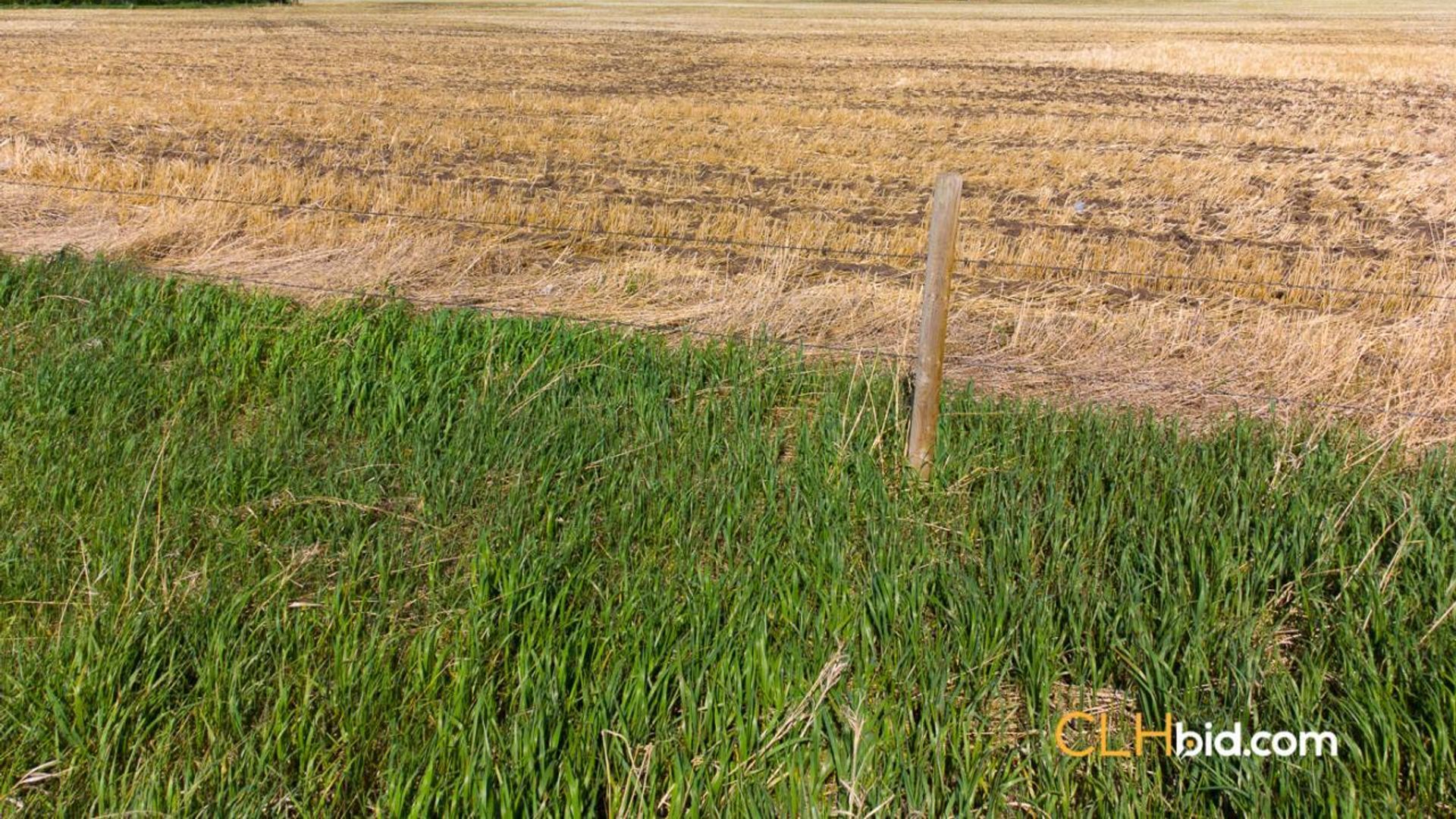 hartelllandrodeodrive-2-2