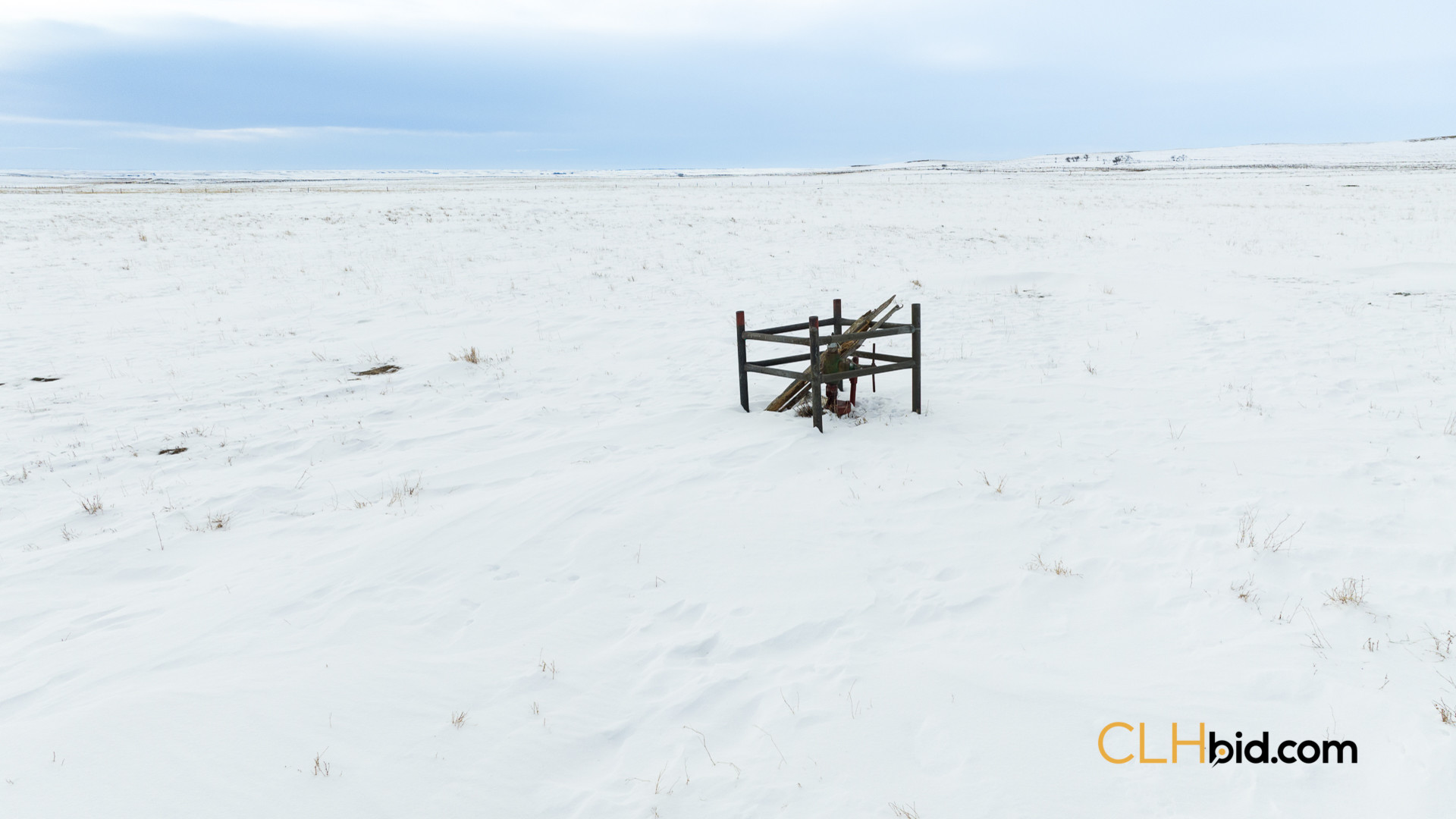 Web169-AcresOfPedigree-3