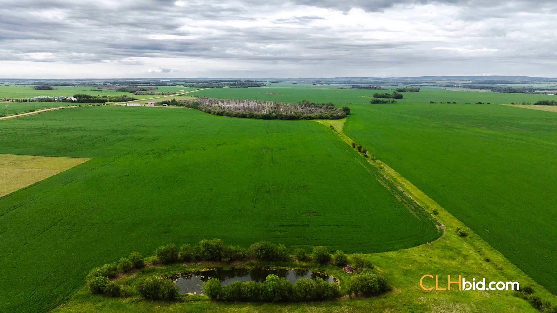 Web Triple Off Hwy 59-11