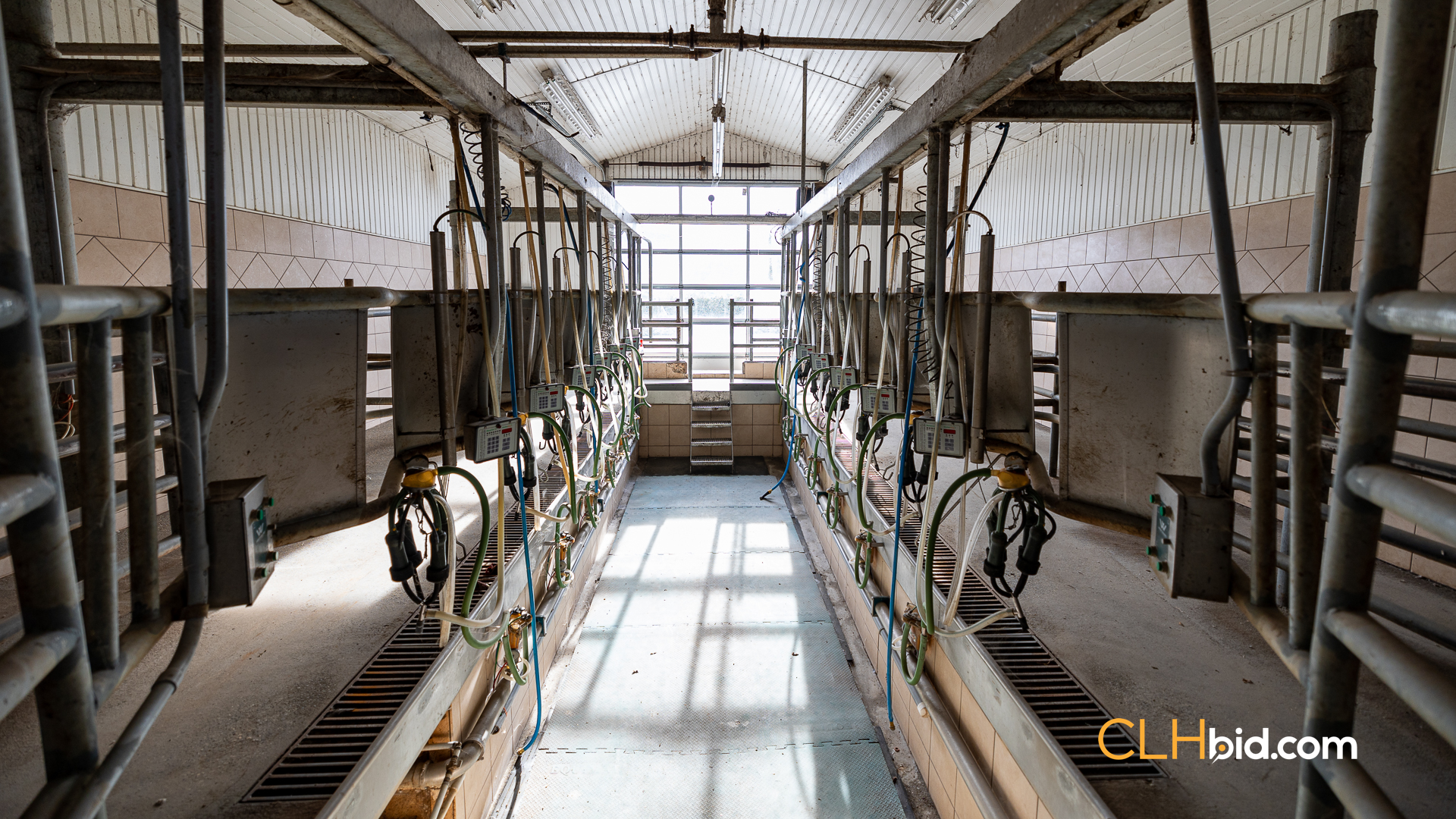 Web-Greendale-Prime-30