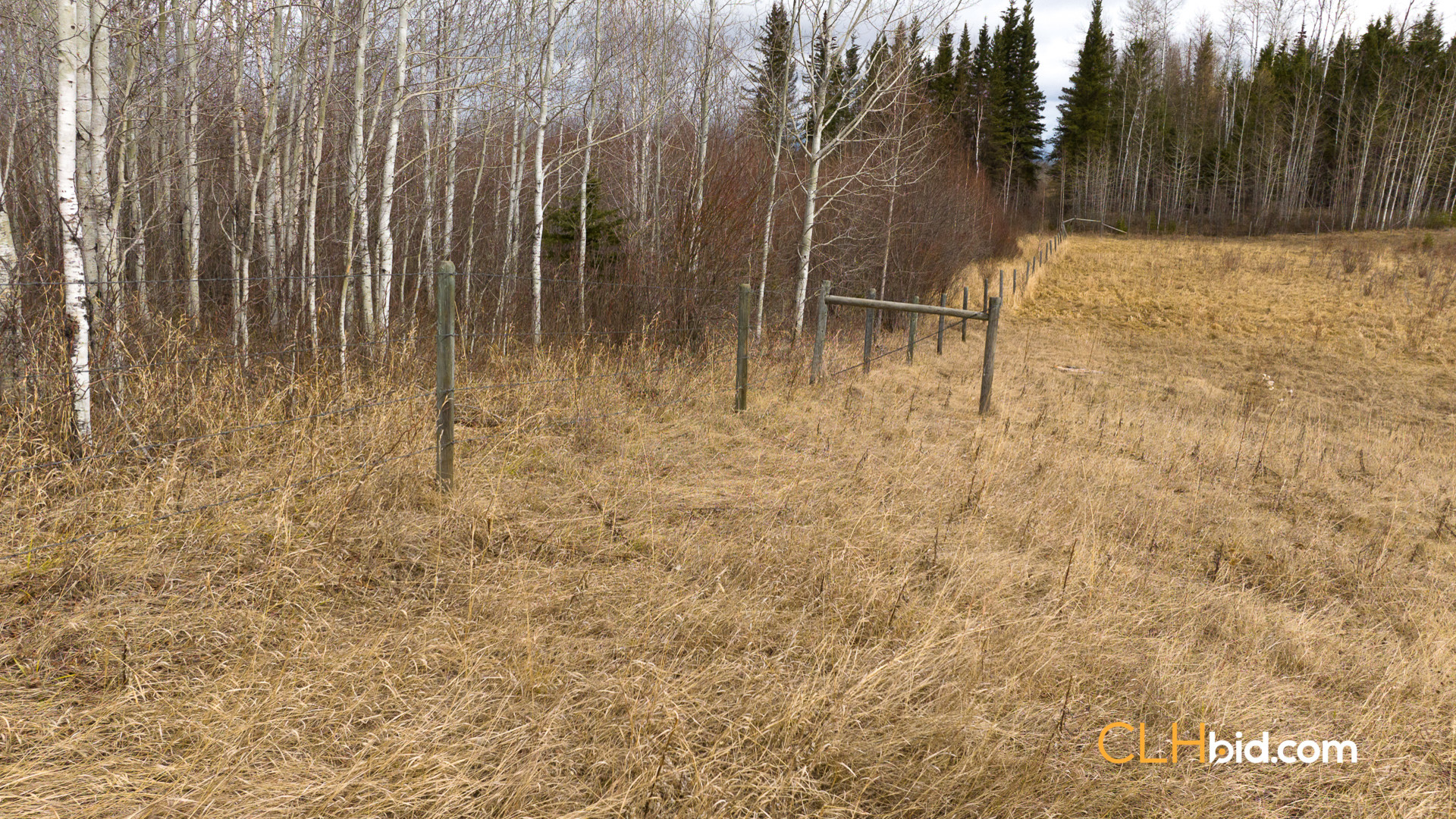 Web-RanchersChoice-3