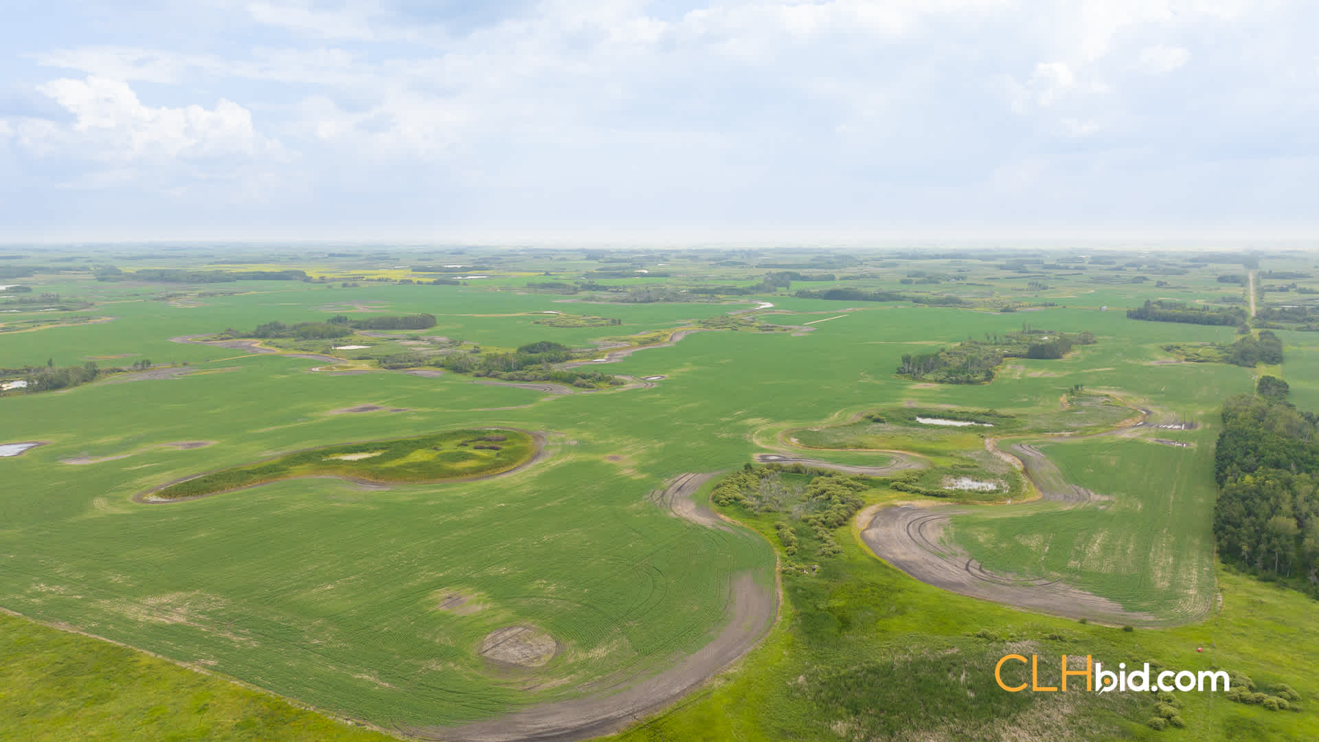 Web-ShoalLake-21