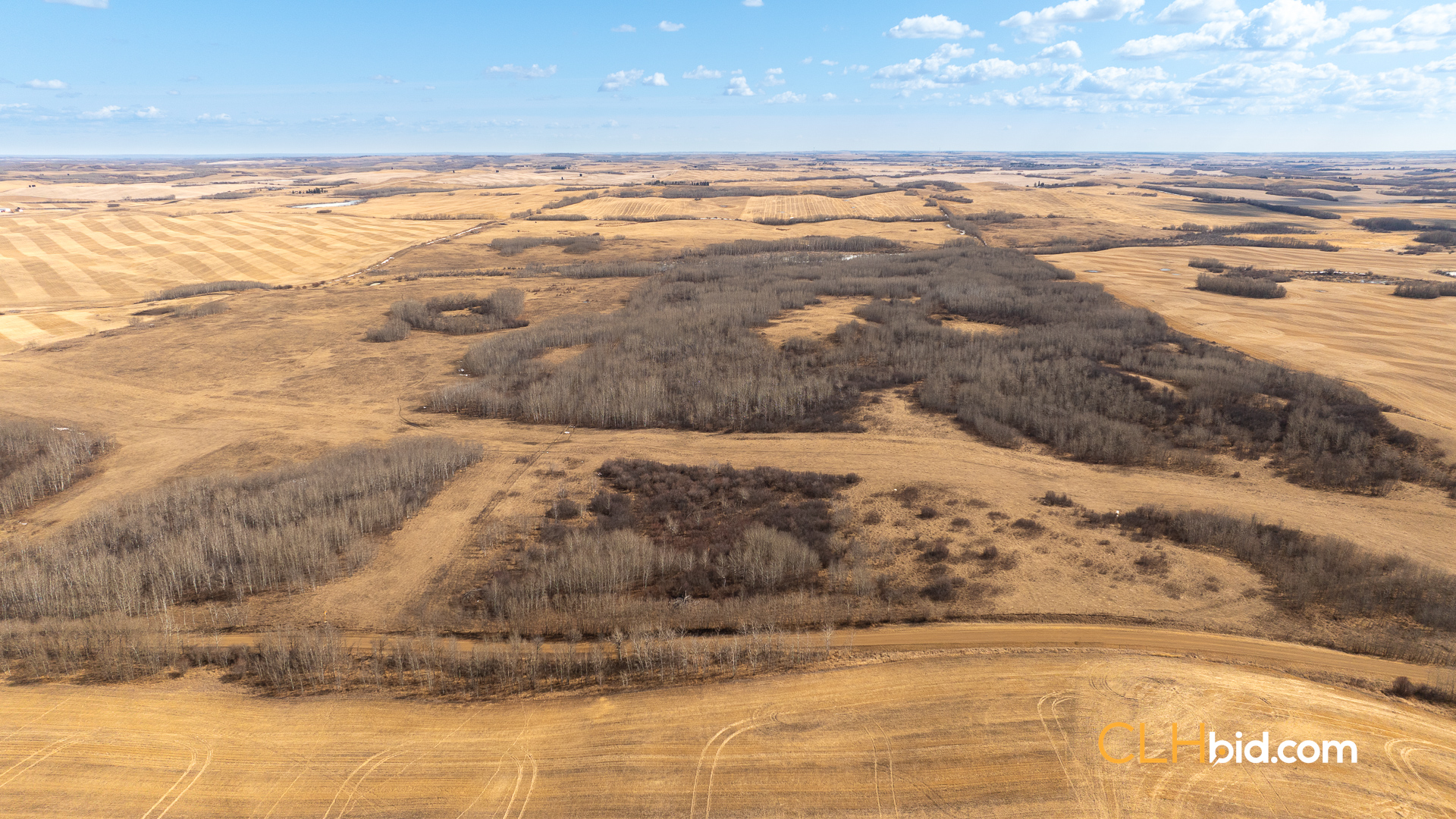 Web-VermilionSiesta-2