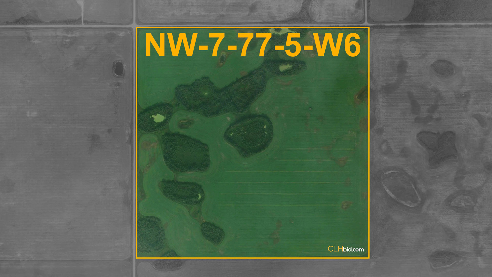 Silverwood Contentful Wide Map