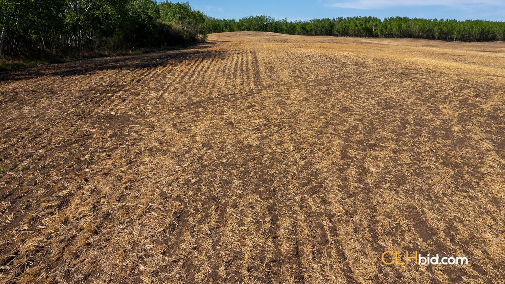 twohillsthreeopportunities-3-3