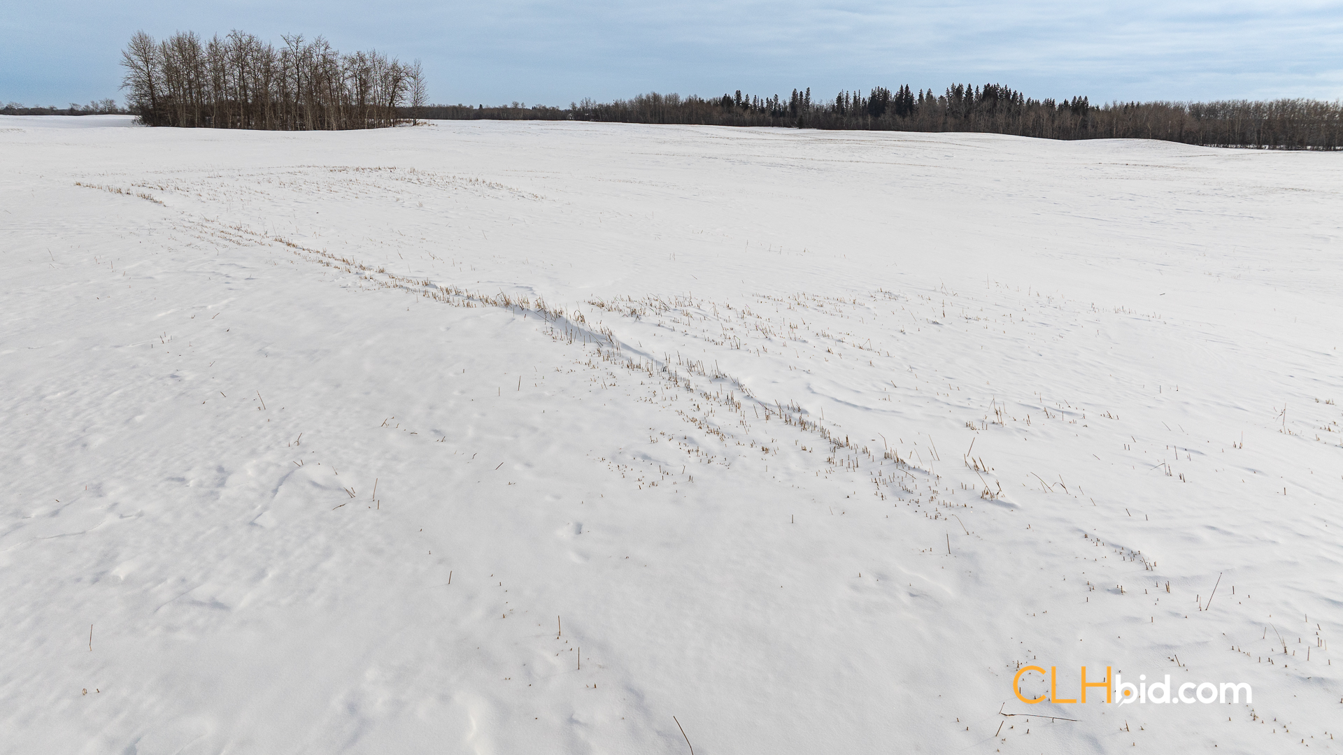 Web-LamontTopGrade-26