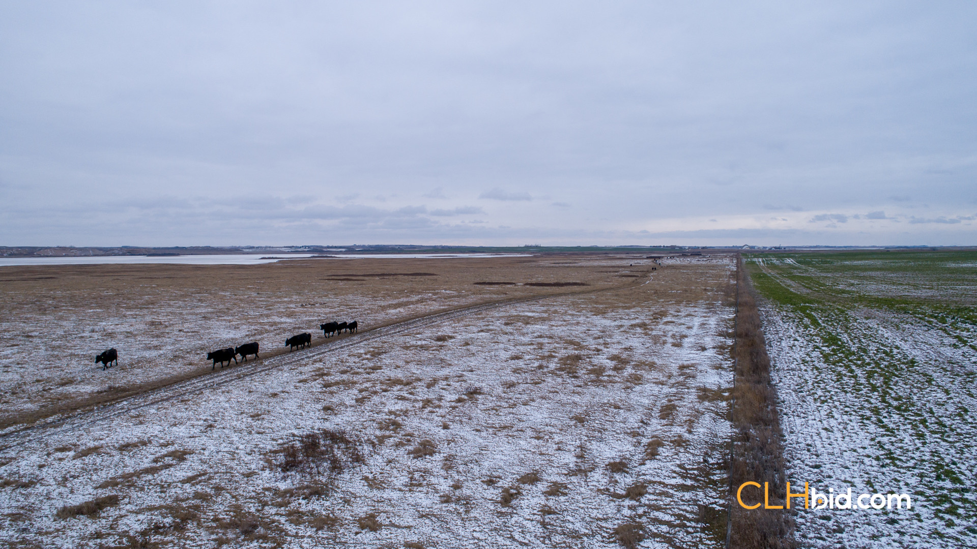 Web-Burke-Lake-Bonanza-32