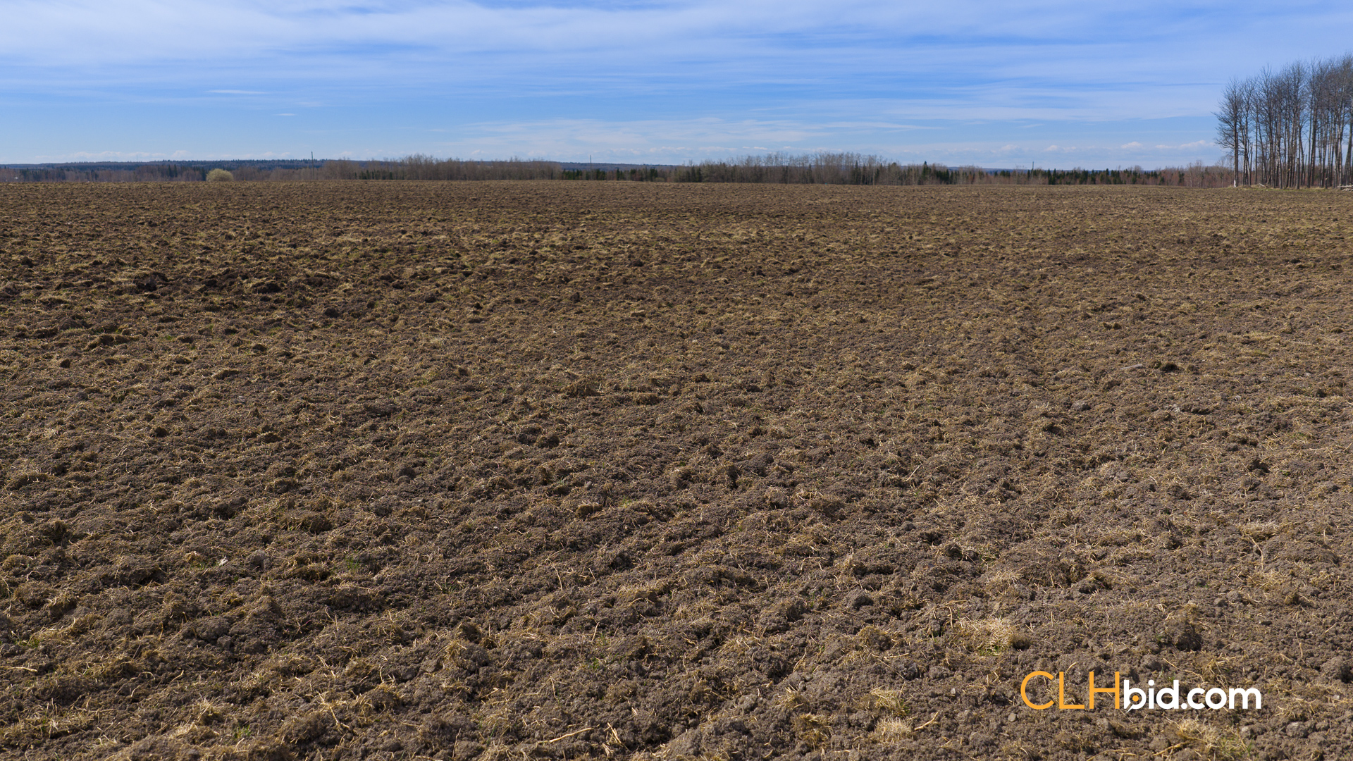 Web-WildProspect-16