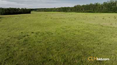 The Wild at Braden Rd