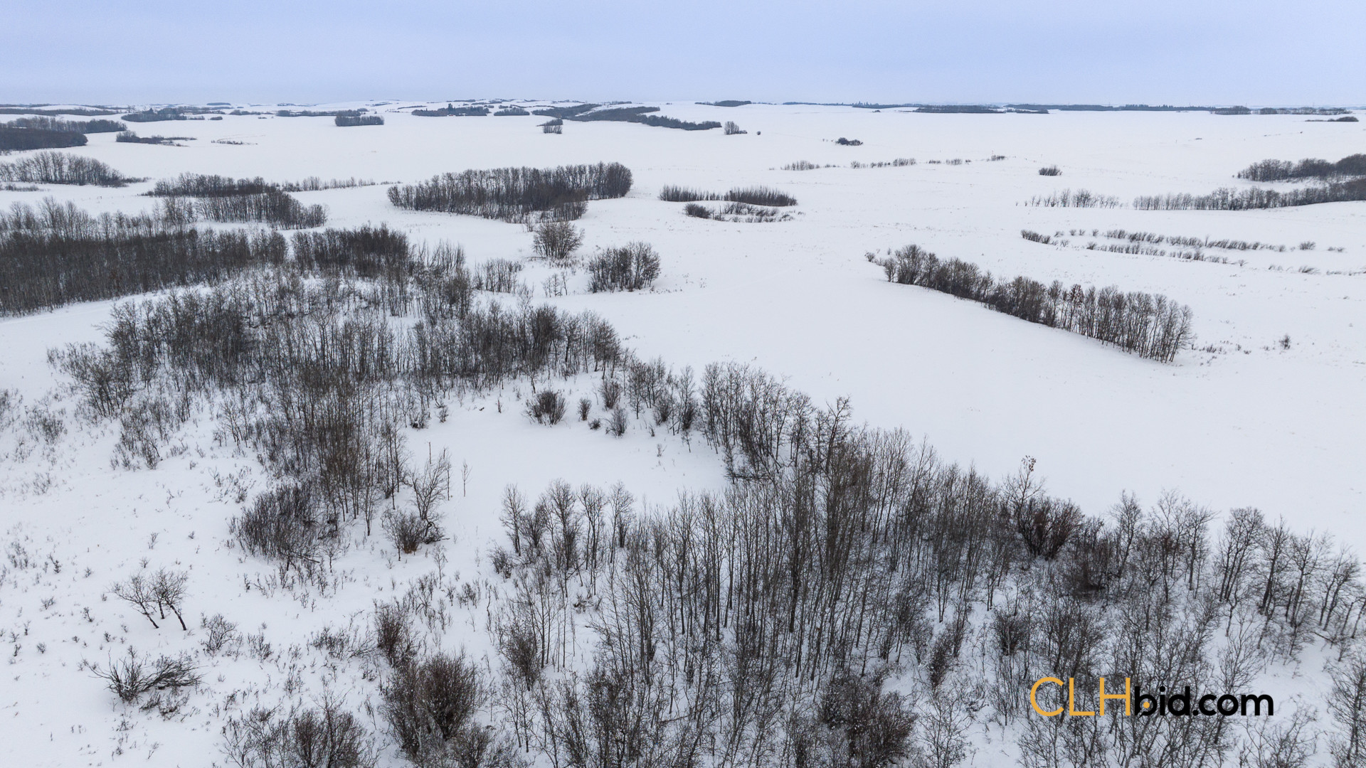 Web169-SKHeartland-6