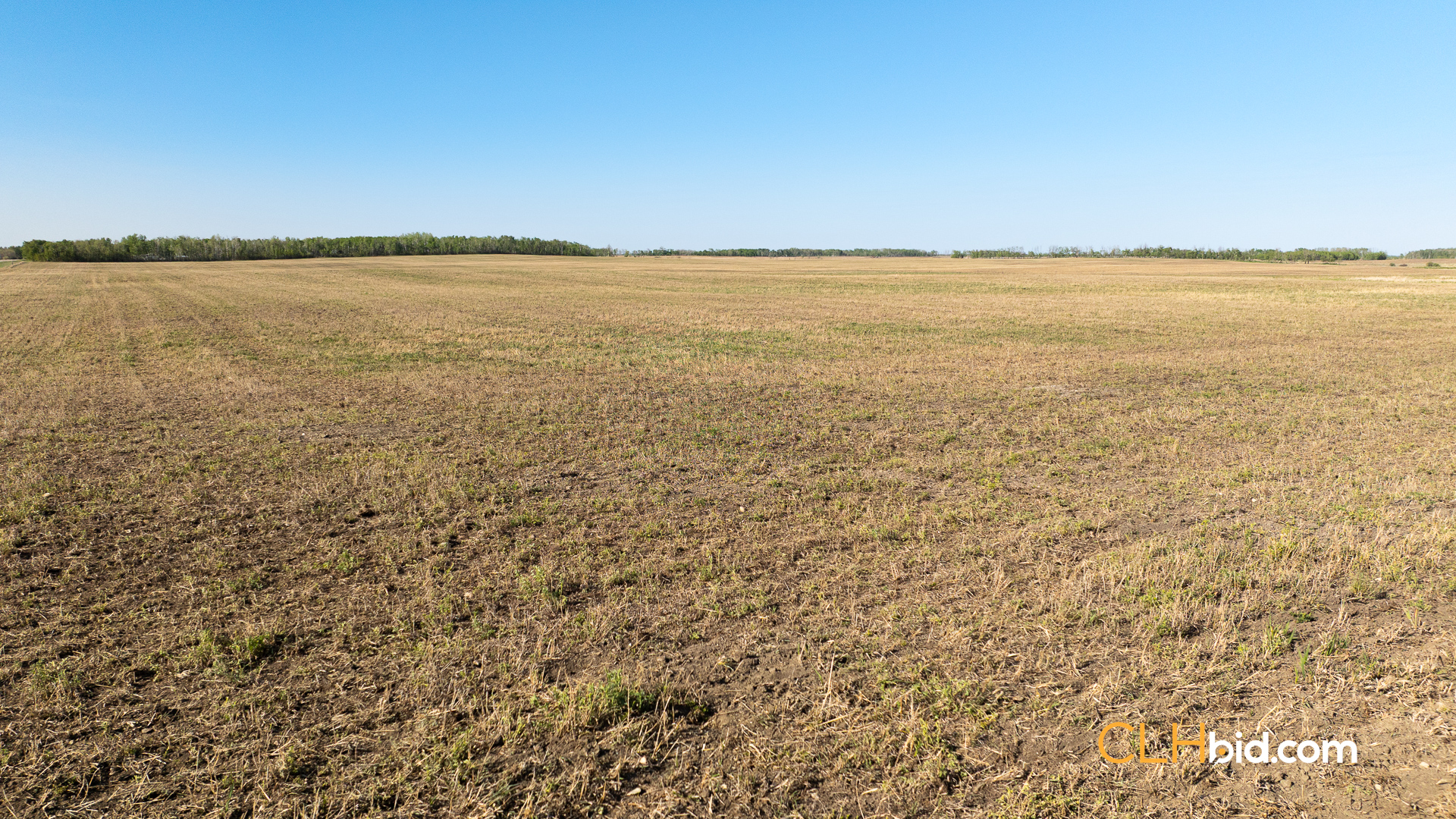 Web-AssiniboineRancher-53