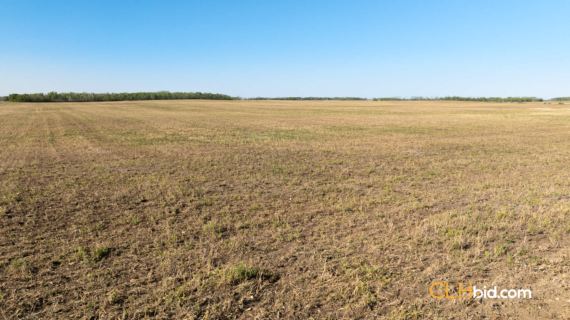 Web-AssiniboineRancher-53