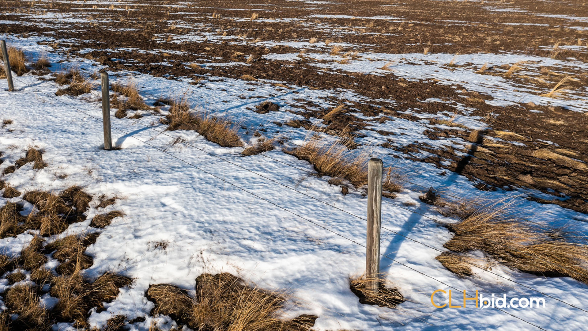 Silverwood Contentful 6