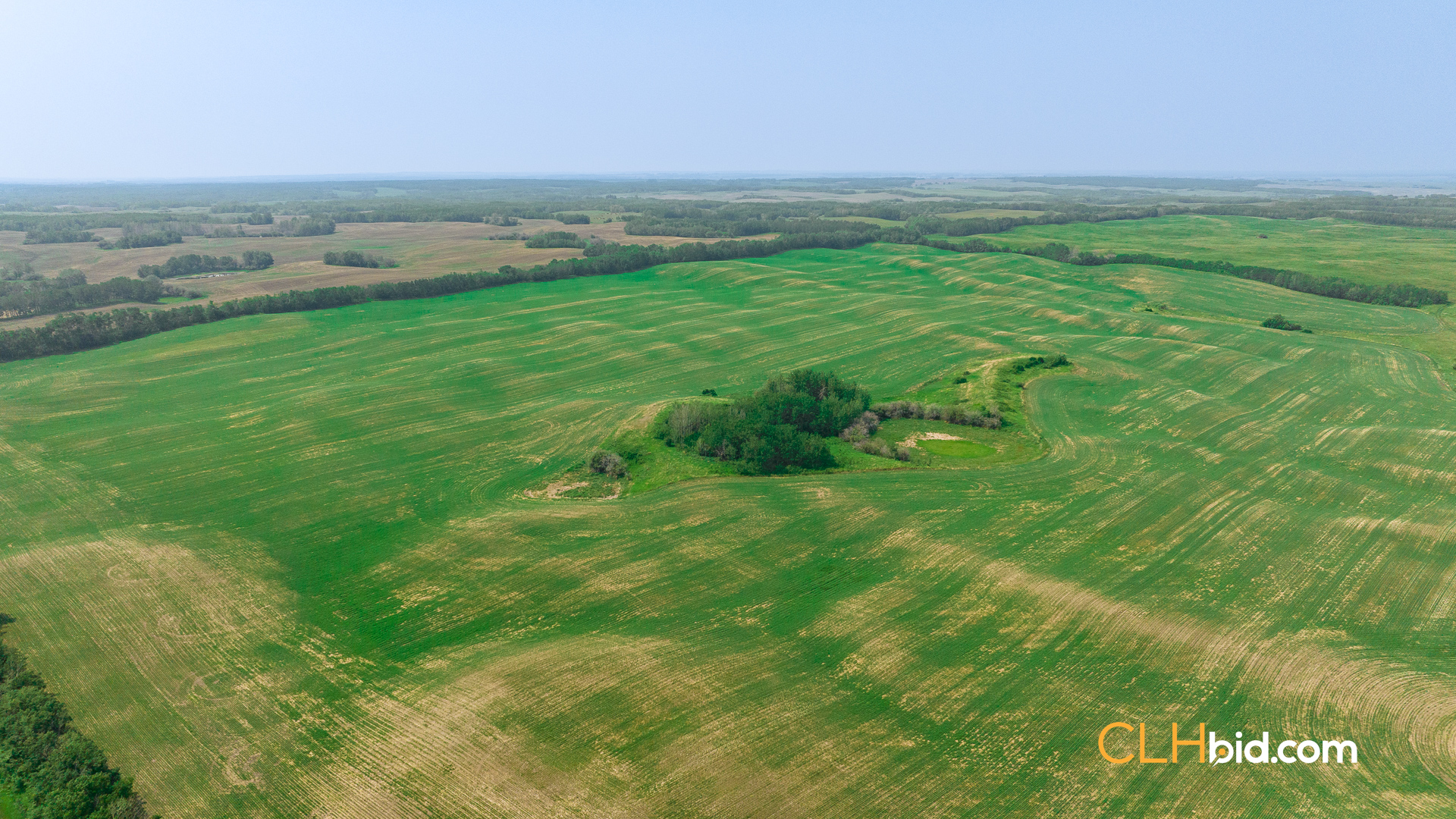 Web-Innisfree8Summer-44