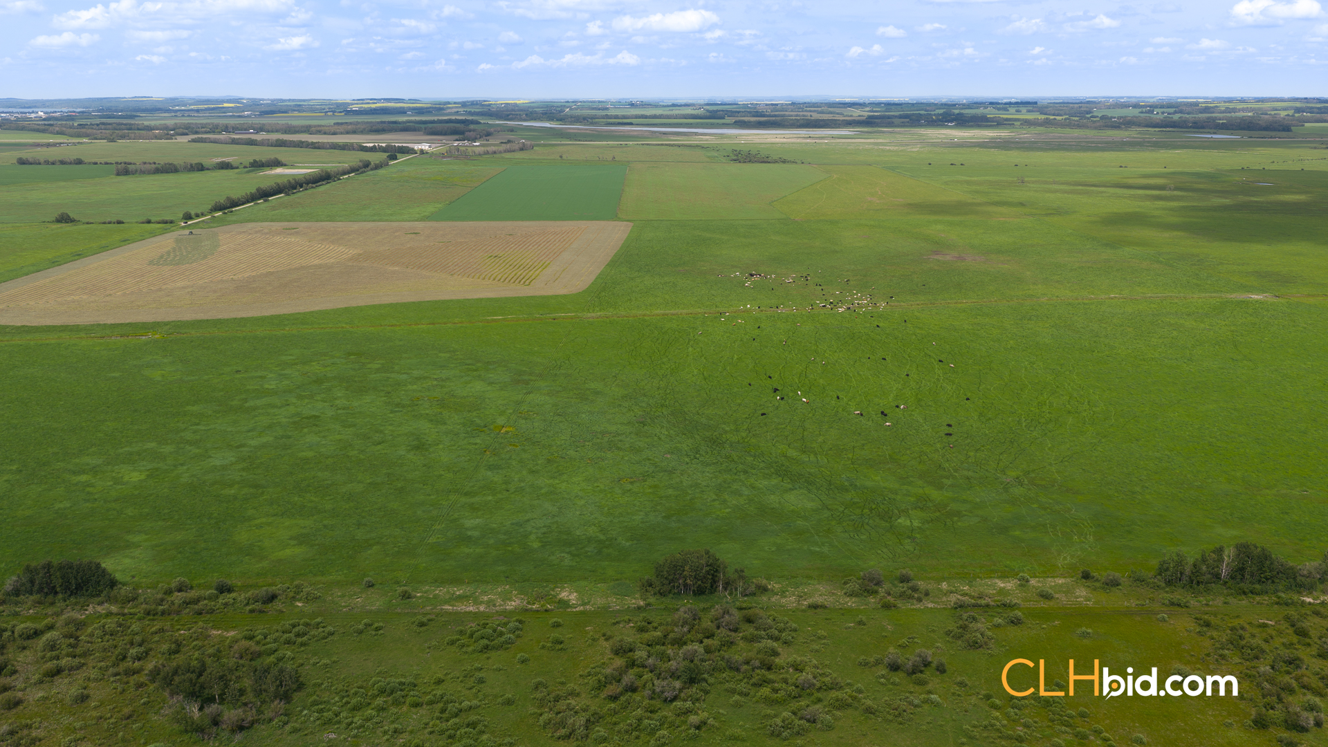Web-SylvanLakeCountry-2