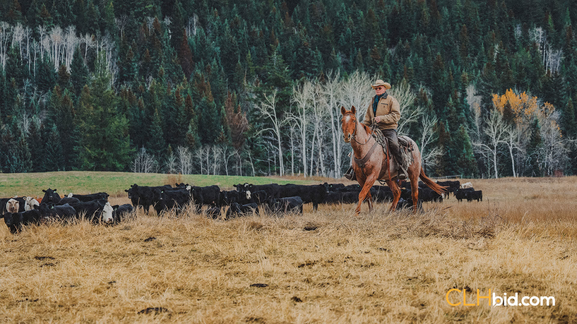 Cowfolk-05