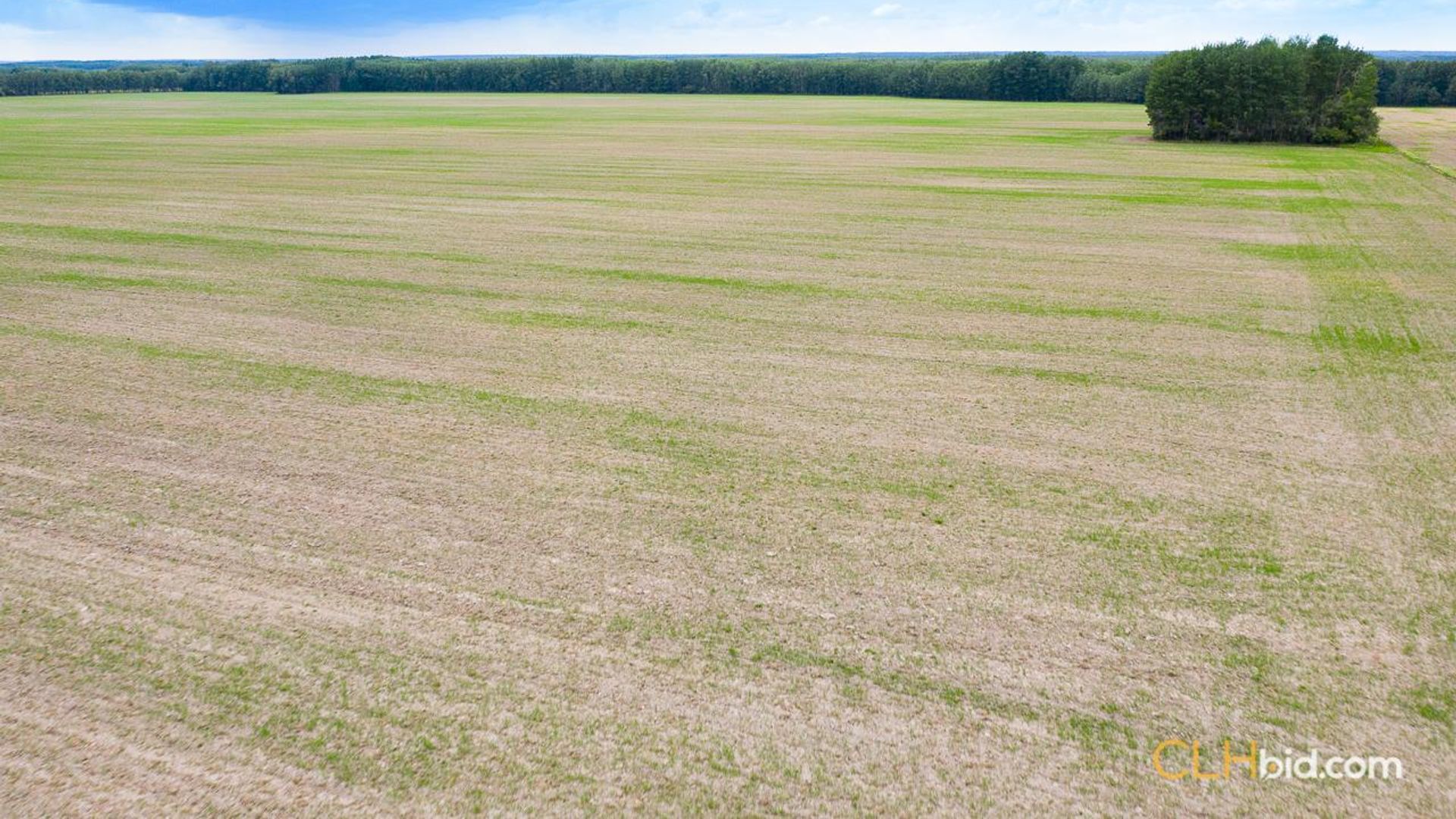 alcescreekhighland-1-4