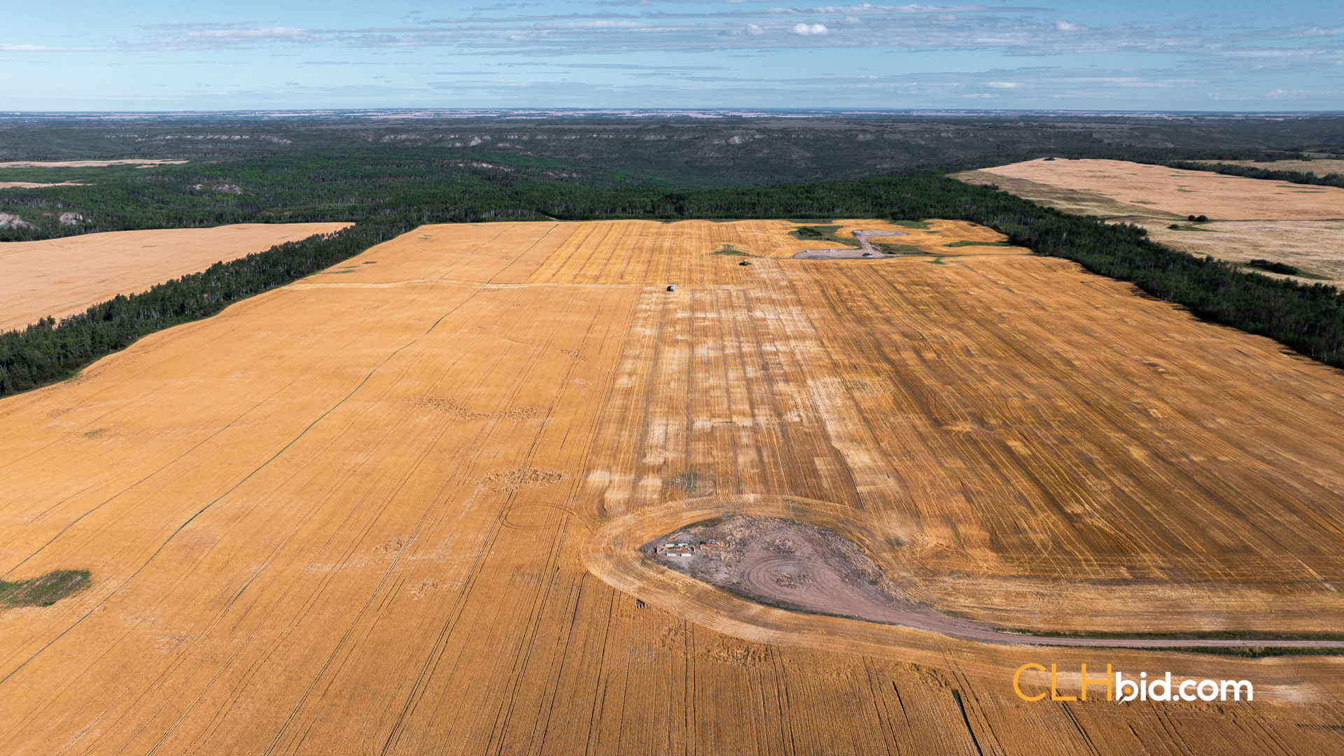 Web Veteran Legacy-21