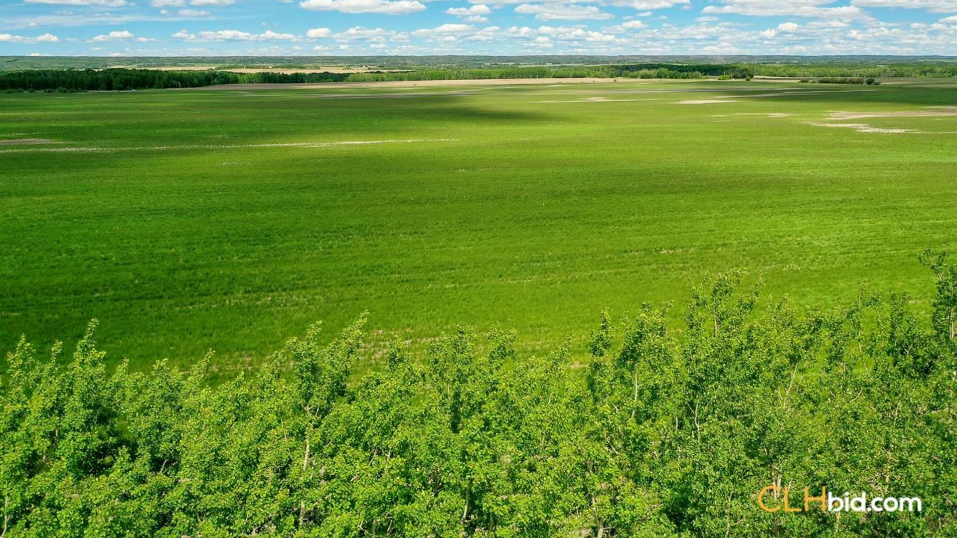 bigskymountainview-2-2