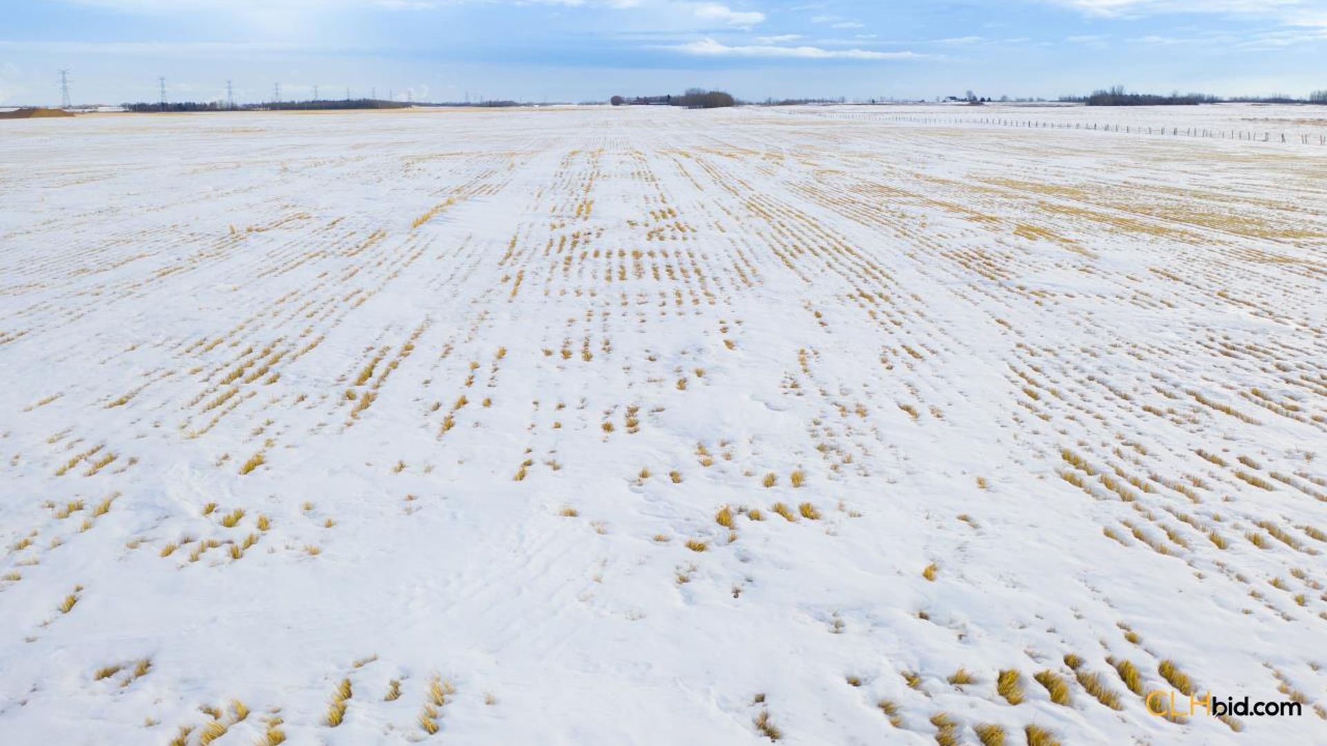 emeraldatgibbons-1-8