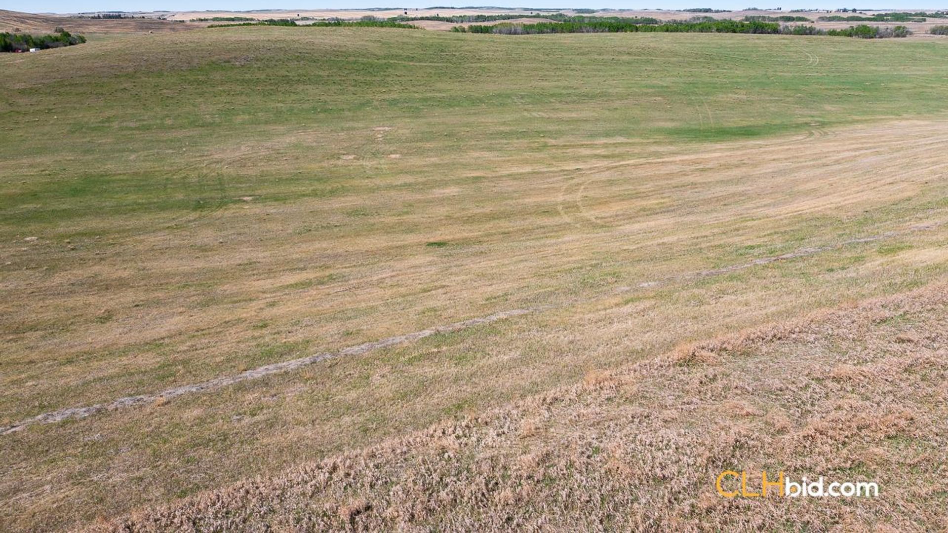 vermilionunbridled-1-4