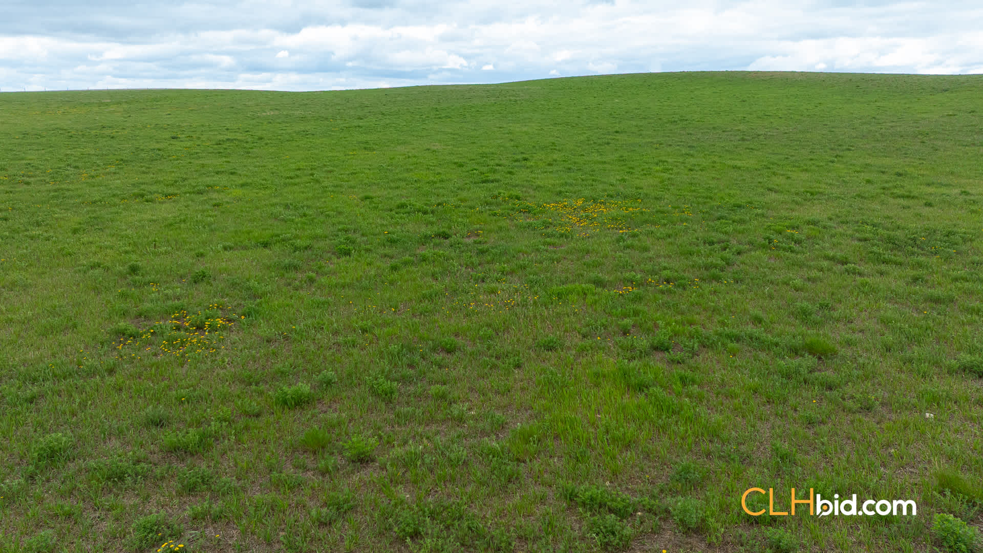 Web-LegacyMoveNEW-41