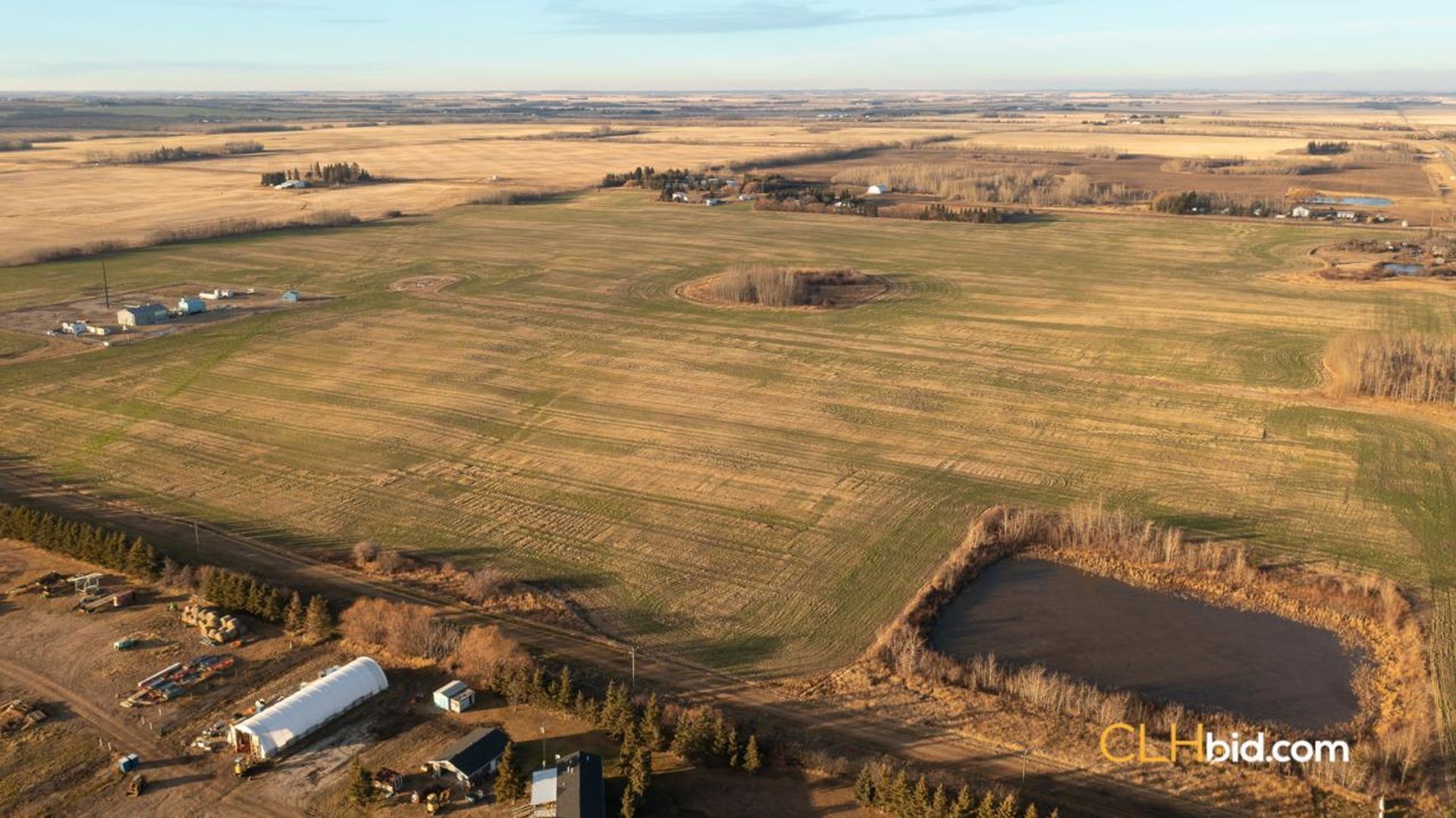 landyoursturgeon-2-2