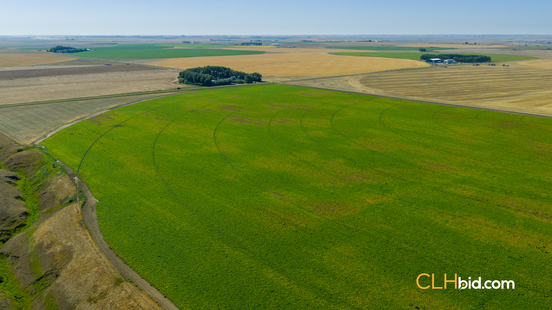 Web-MegaFortyMile-33