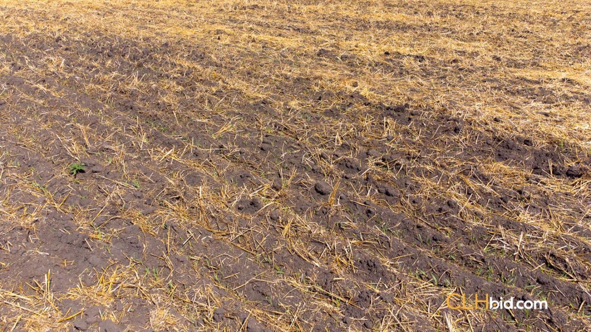 thelongmilevegreville-2-4